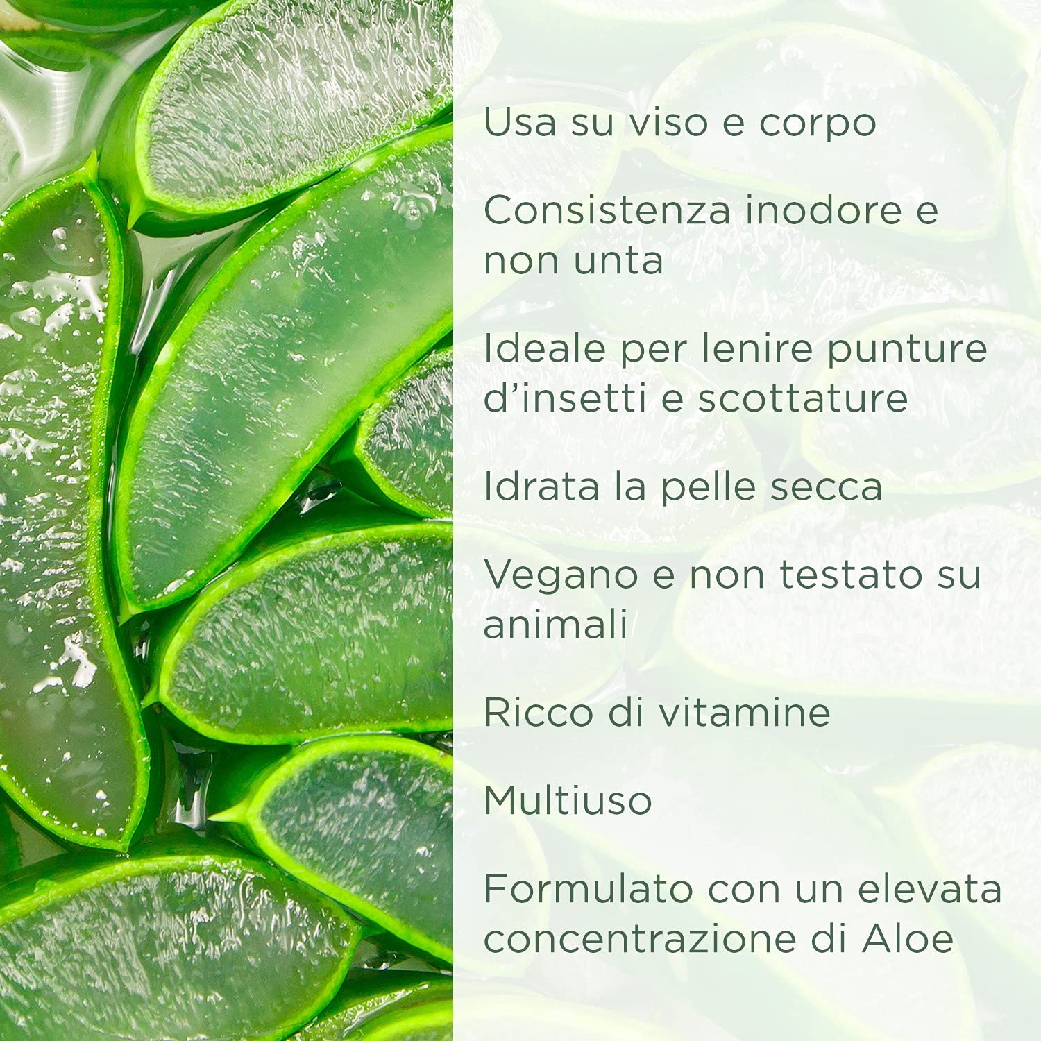 Pranaturals aloe vera gel 200 ml, gel lenitivo & idratante nutriente, idrata danneggiato pelle, assorbe facilmente non grassa o non oleoso (Pacco da 1)