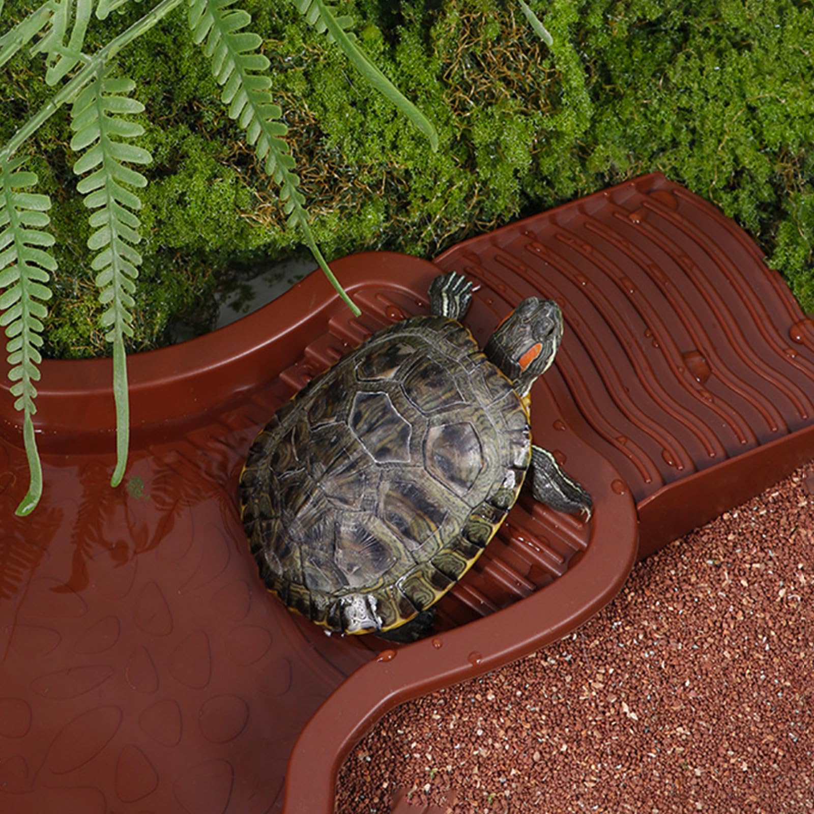 Piscine Tortue Terrestre Mangeoire,Plat d'eau Bassin pour Tortue De Piscine avec Rampe,Bol d'eau pour Reptiles avec Échelle,Abreuvoir pour Tortues Bassin pour Animaux pour Aquarium (Rouge)