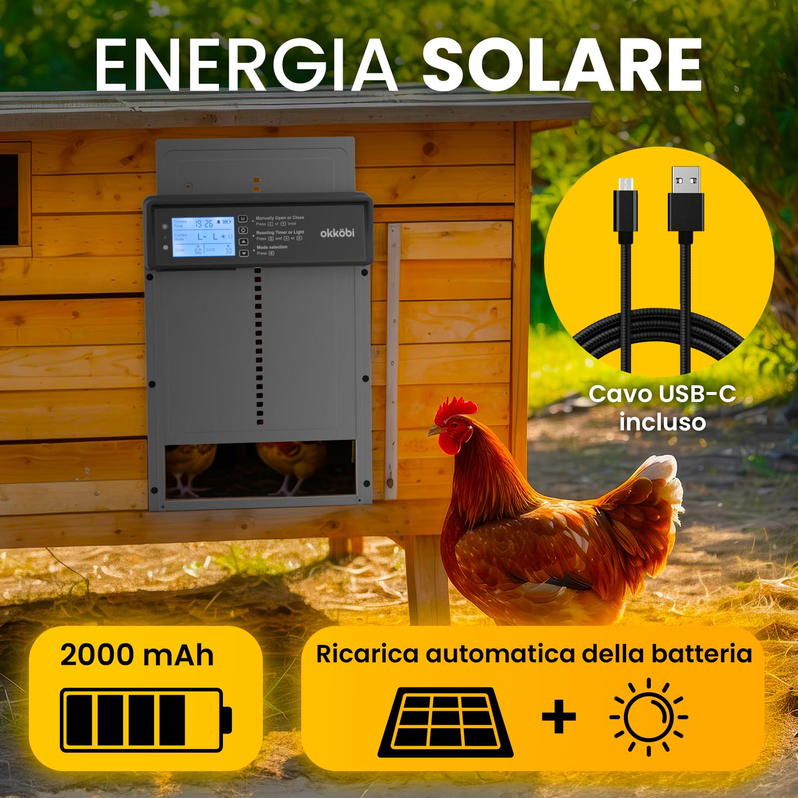 Okkobi Porta Automatica Pollaio Solare - Display LCD - Porta Pollaio con telecomando, Sensore di luce e Timer - Sicurezza e tranquillità: Funzione Antipizzicamento - Protezione di 5 anni