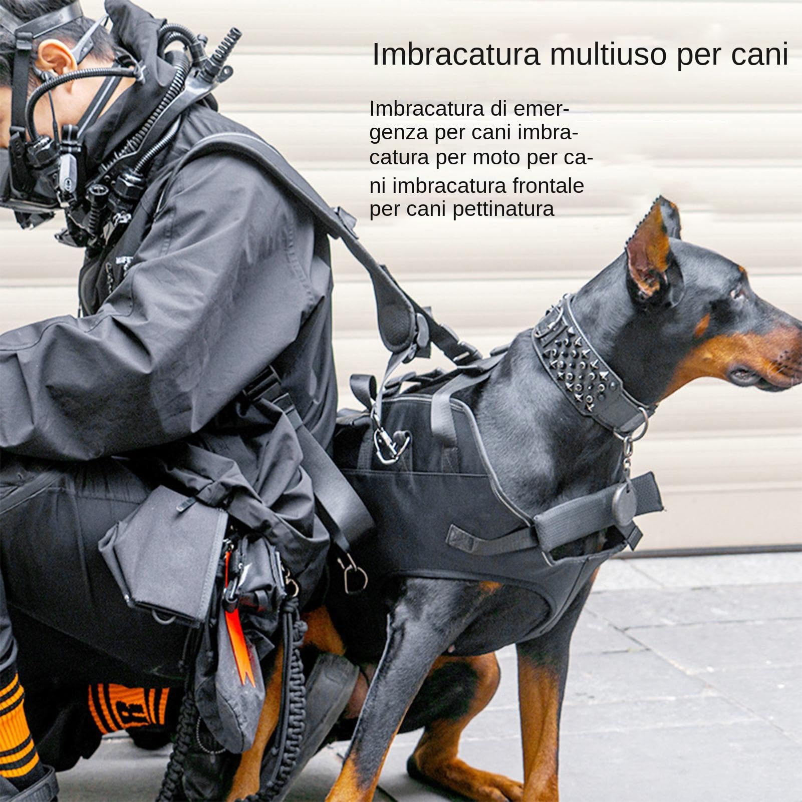 Cinturón para perros - Soporte para el cuerpo del portador profesional | ENVASES TEVIO OXFORD con patas delanteras de cinturón | Carrier para perros para coche Motorrad Reisen |