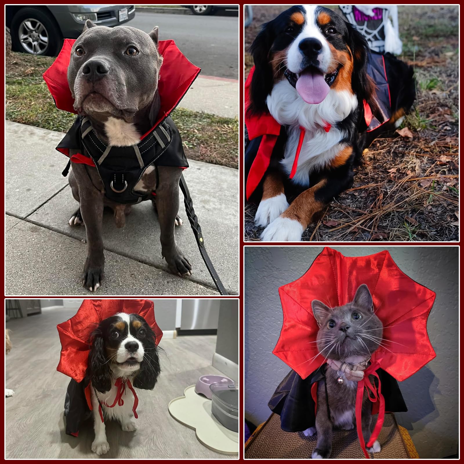 Snapklik.com : Dog Halloween Costumes, Dogs Vampire Costume Devil Cloak ...