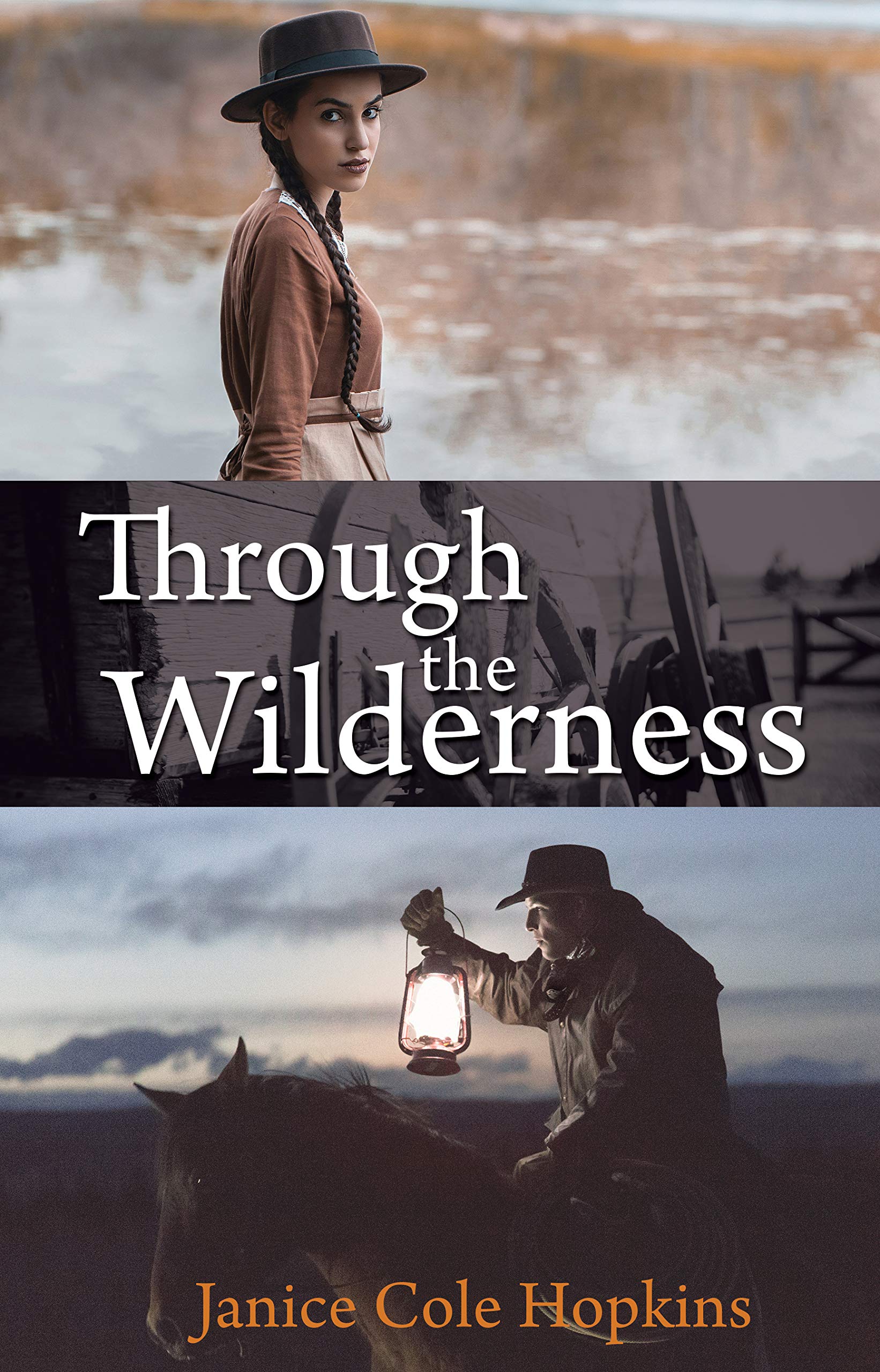 Buy Through the Wilderness — BookShops.in