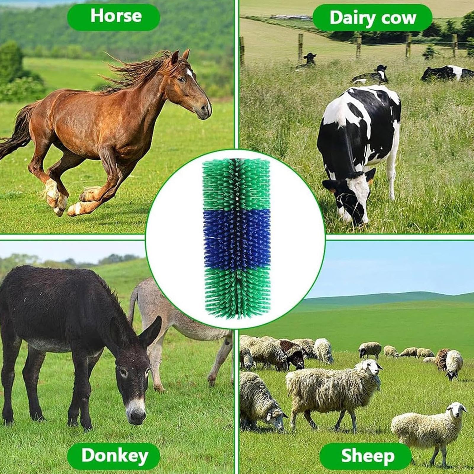Szczotka do zdrapywania pleców, do usuwania sierści zwierząt, szczotka do
