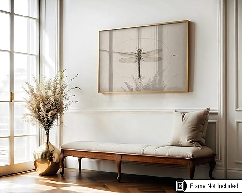 Miniatura 3 de Poster Master Póster vintage de libélula, impresión retro de artificio de insectos, arte de insectos, gran regalo para hombres, mujeres, amantes de