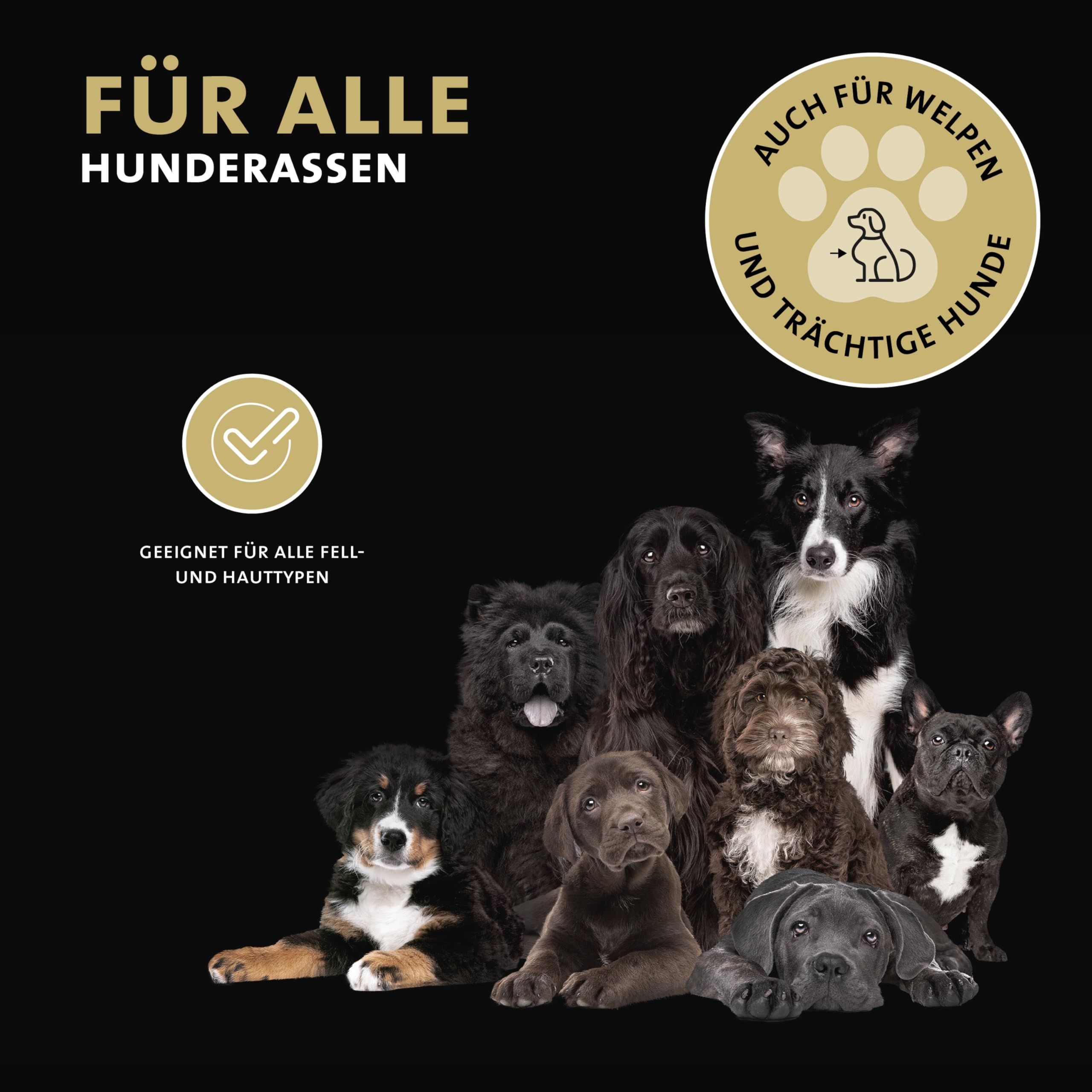 Peticare Anti-Parasiten Hunde-Shampoo | gegen Milben Flöhe Pilze | lindert effektiv Juckreiz & unterstützt Regenerationsprozess | einzigartiges PRS® System für Lange Wirkung – petDog Health 2104