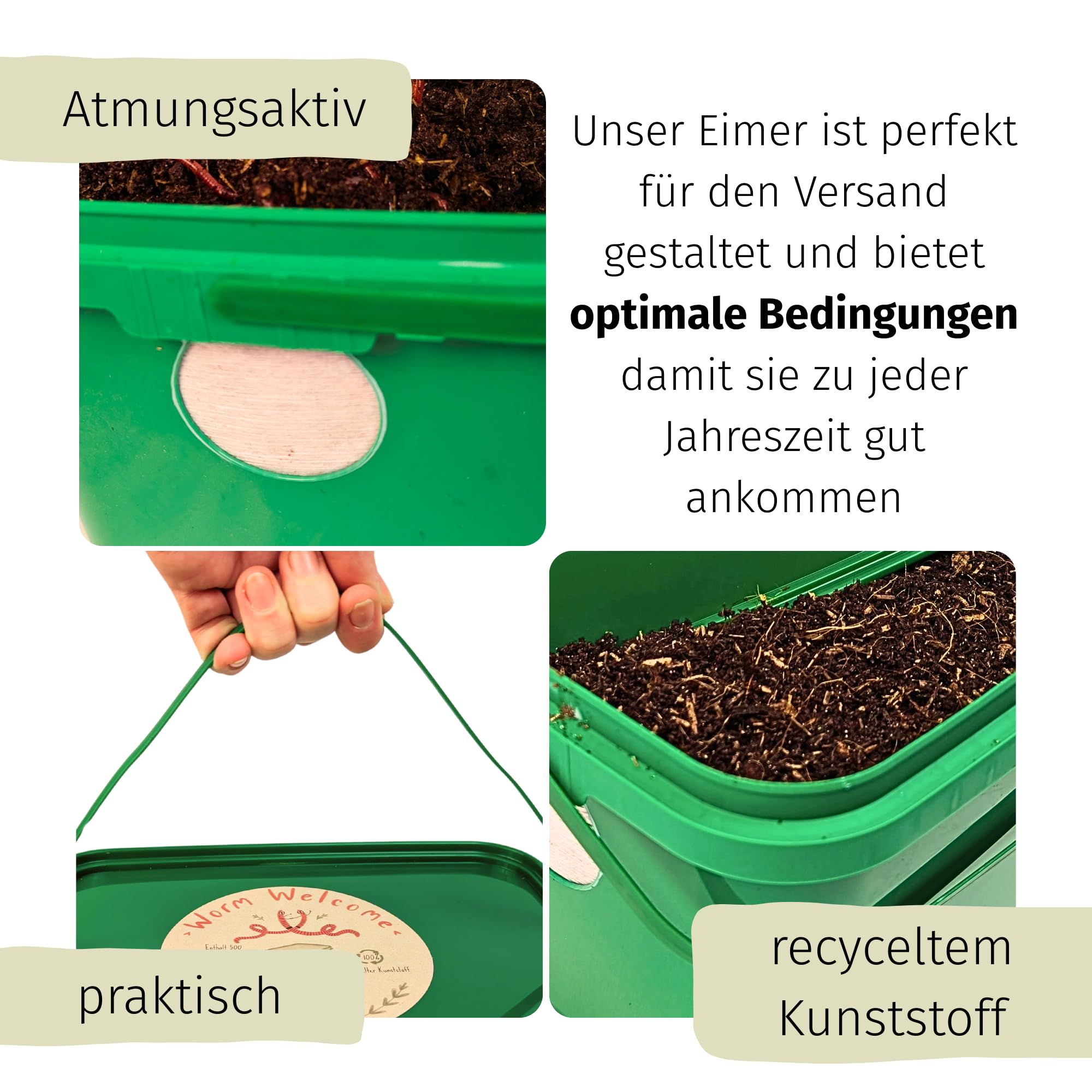500 Kompostwürmer kaufen in 5L Kompoststarter Substrat - Eisenia Würmer produzieren Wurmhumus
