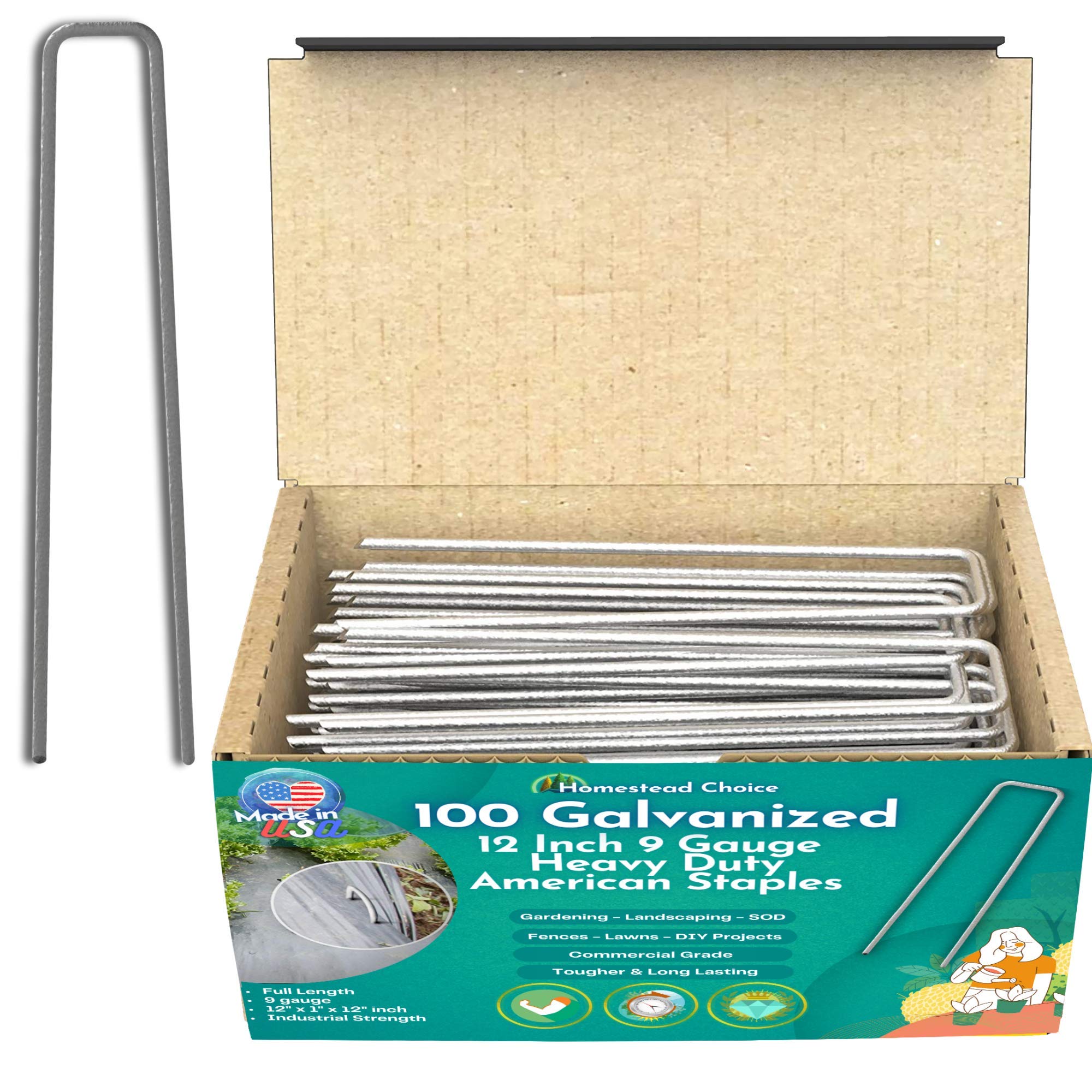 Buy Homestead Choice 100 Count 12 Inch 9Gauge Galvanized Stes Made in USA Garden Landscape