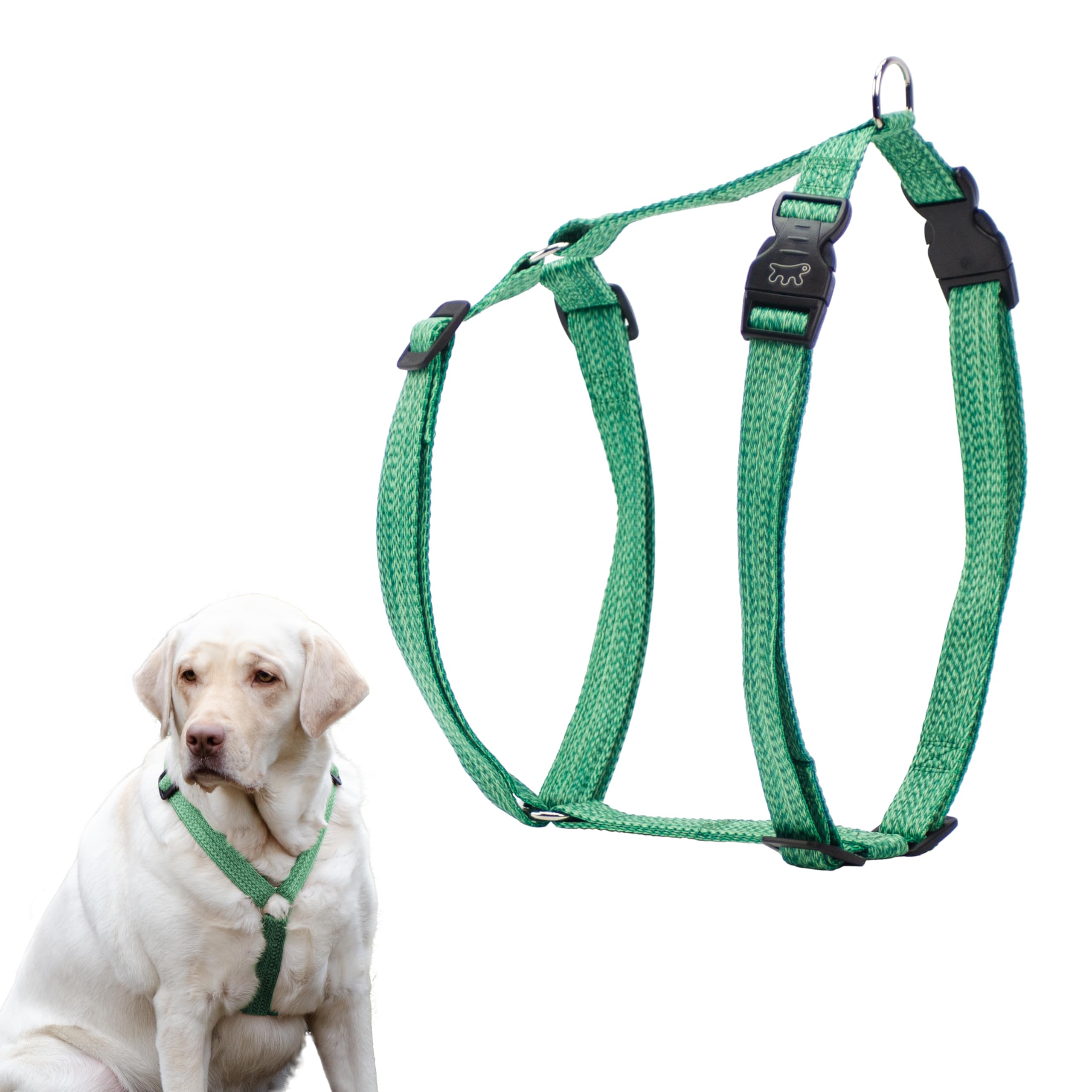 Ferplast Pettorina per Cani Grandi, Regolabile, Facile da Indossare, Realizzata al 100% in plastica Riciclata da Bottiglie in Pet, L, Verde