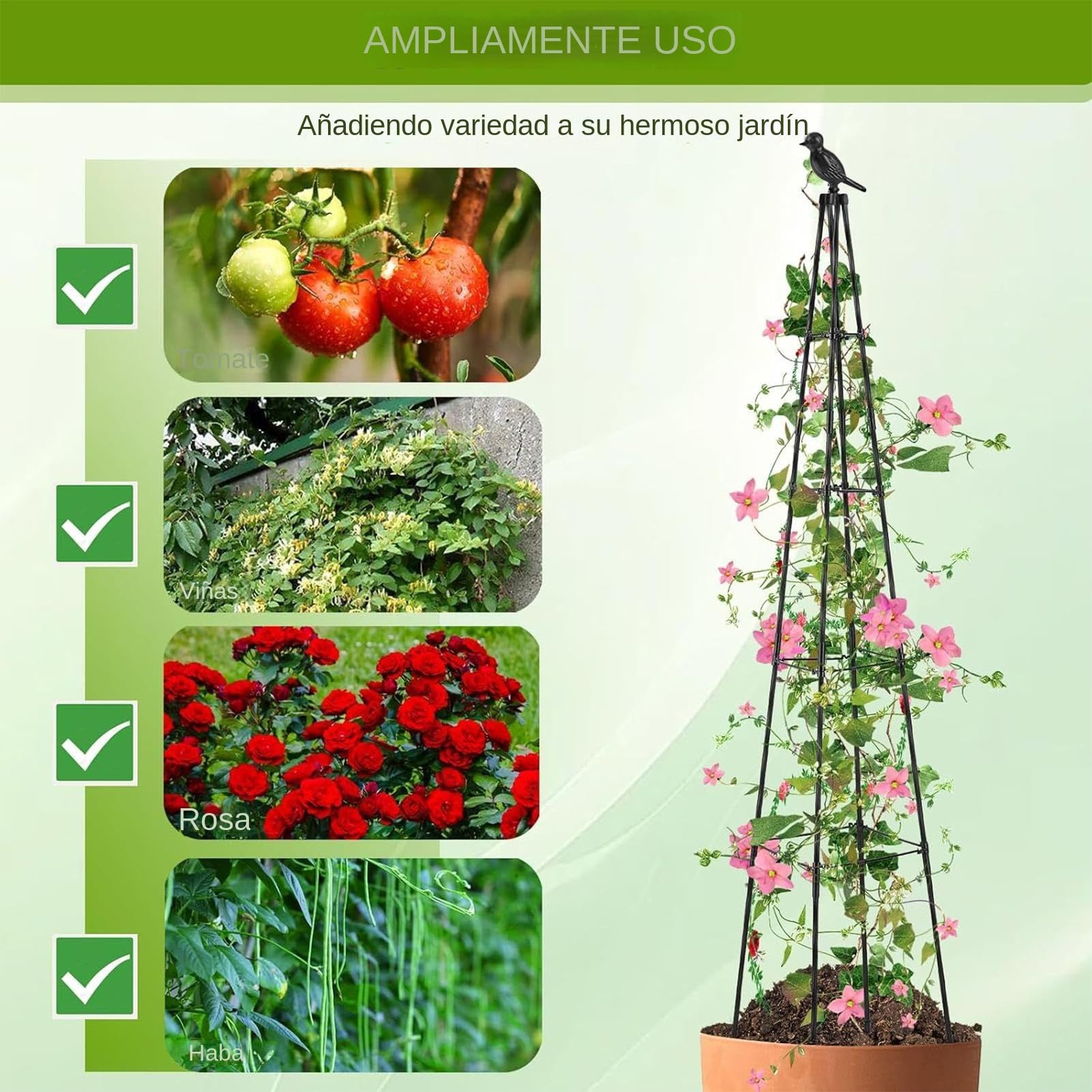 Tuteur Obélisque de Jardin Cage de Support Vertical en Métal