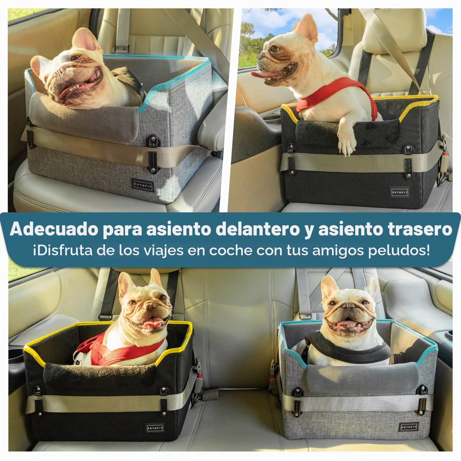 Petsfit Asiento Coche Perro Pequeño Plegable, Bolsa Asiento Elevadora para Coche para Mascotas, para Perros Pequeños