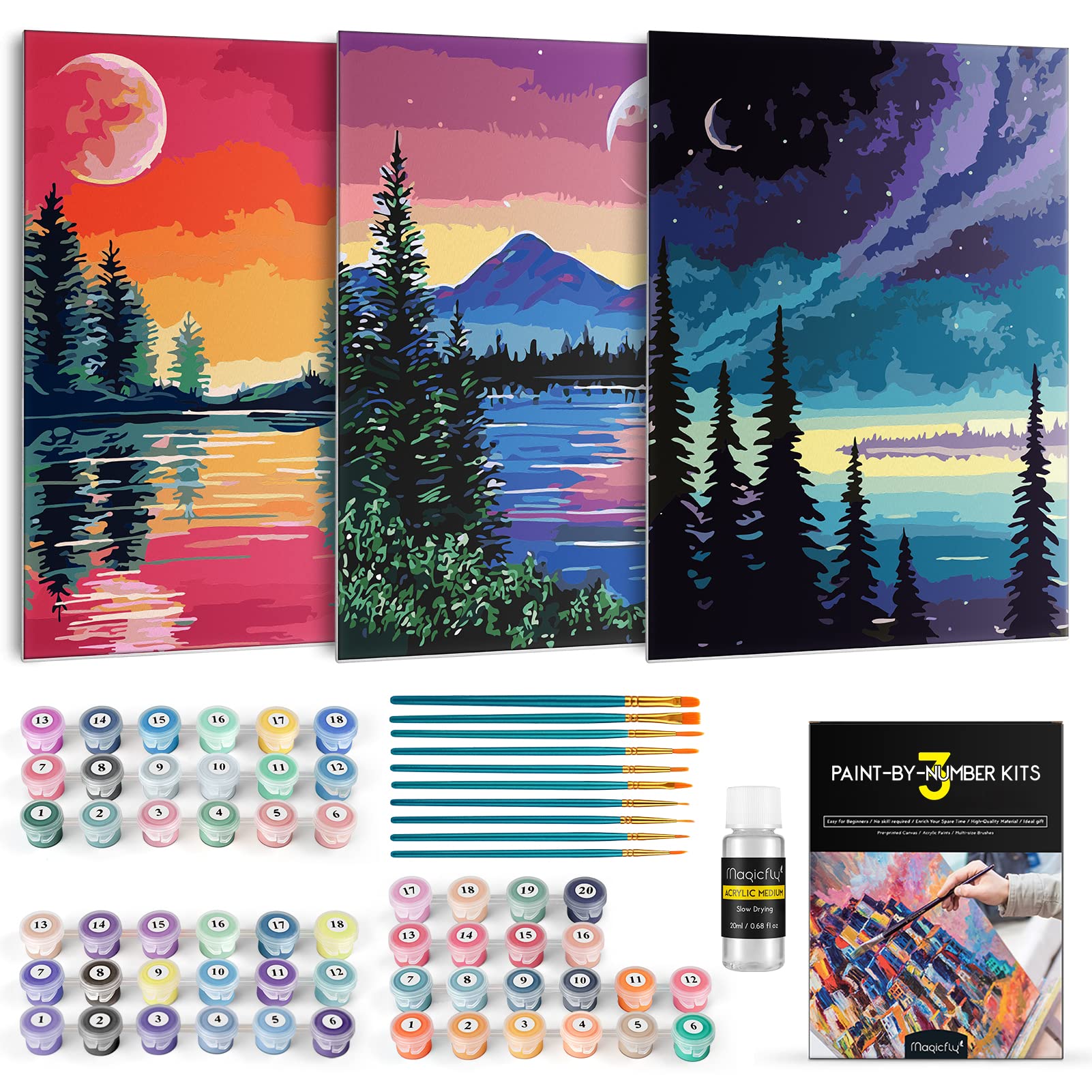 Buy Magicfly 3 Pack Paint by Numbers for Adults Beginner, Moon Lake
