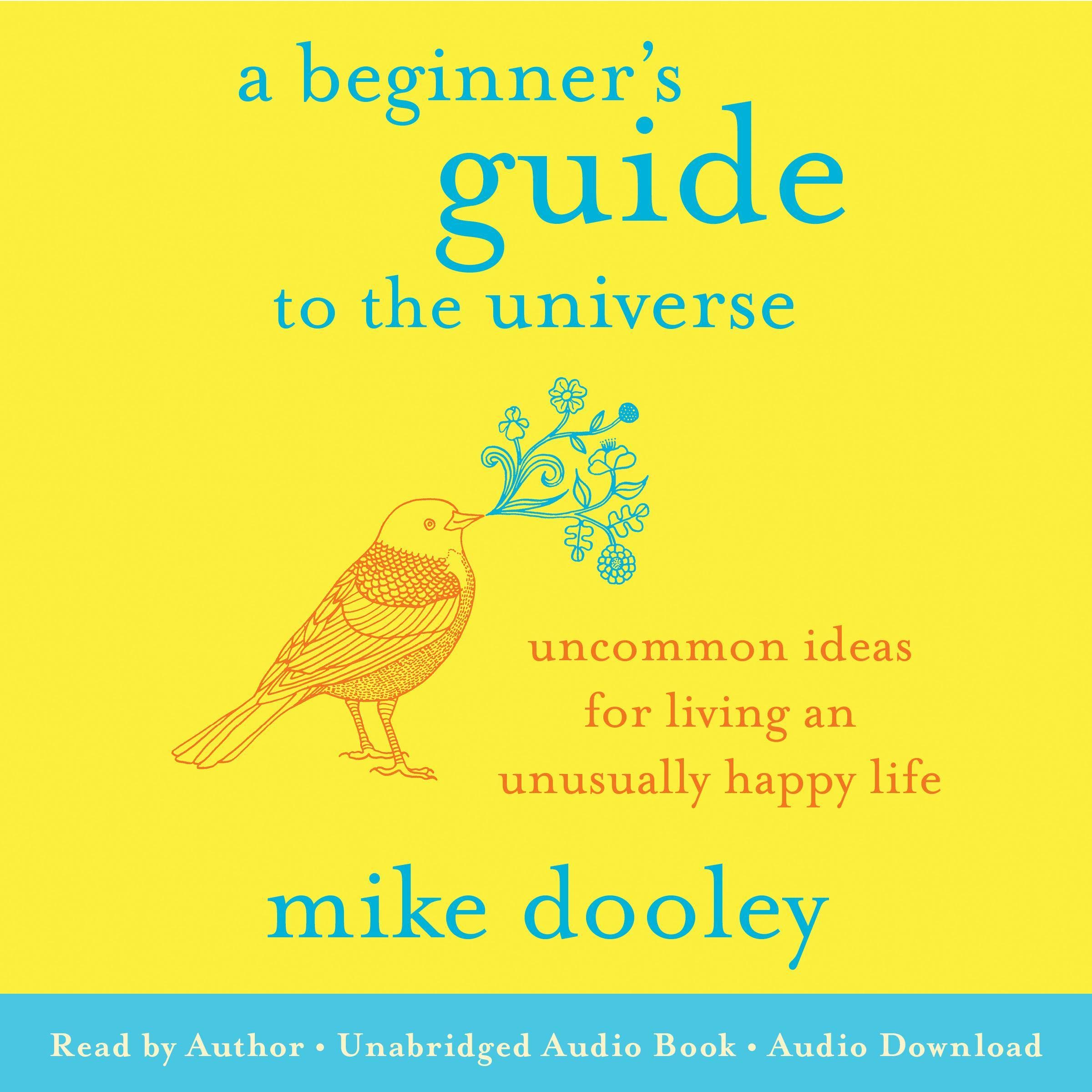 Cover art for A Beginner's Guide to the Universe