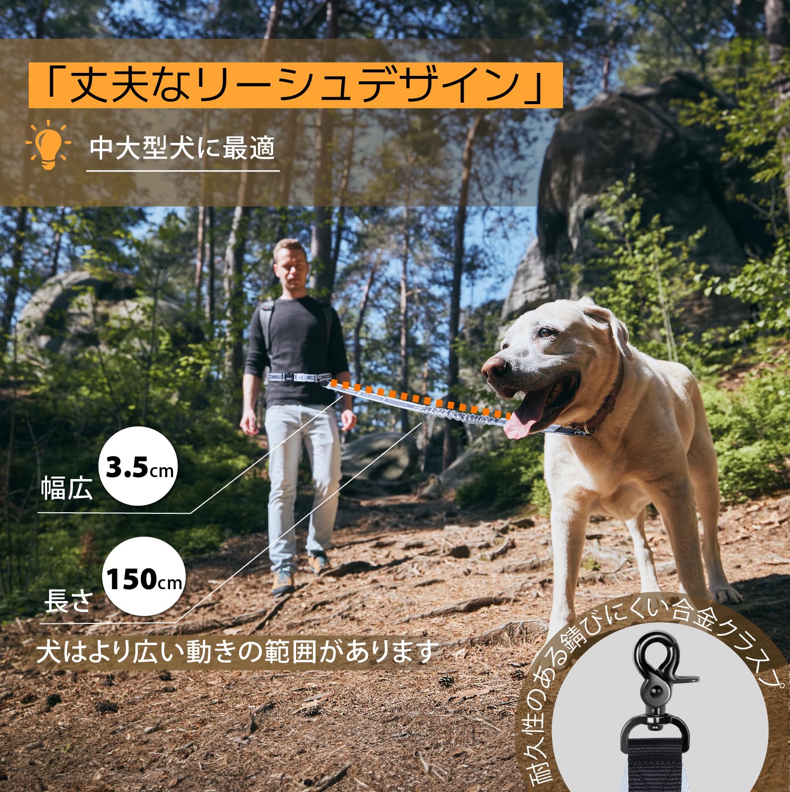Amazon | JC HOUSE 犬 リード 中型犬 大型犬用 ランニングリード