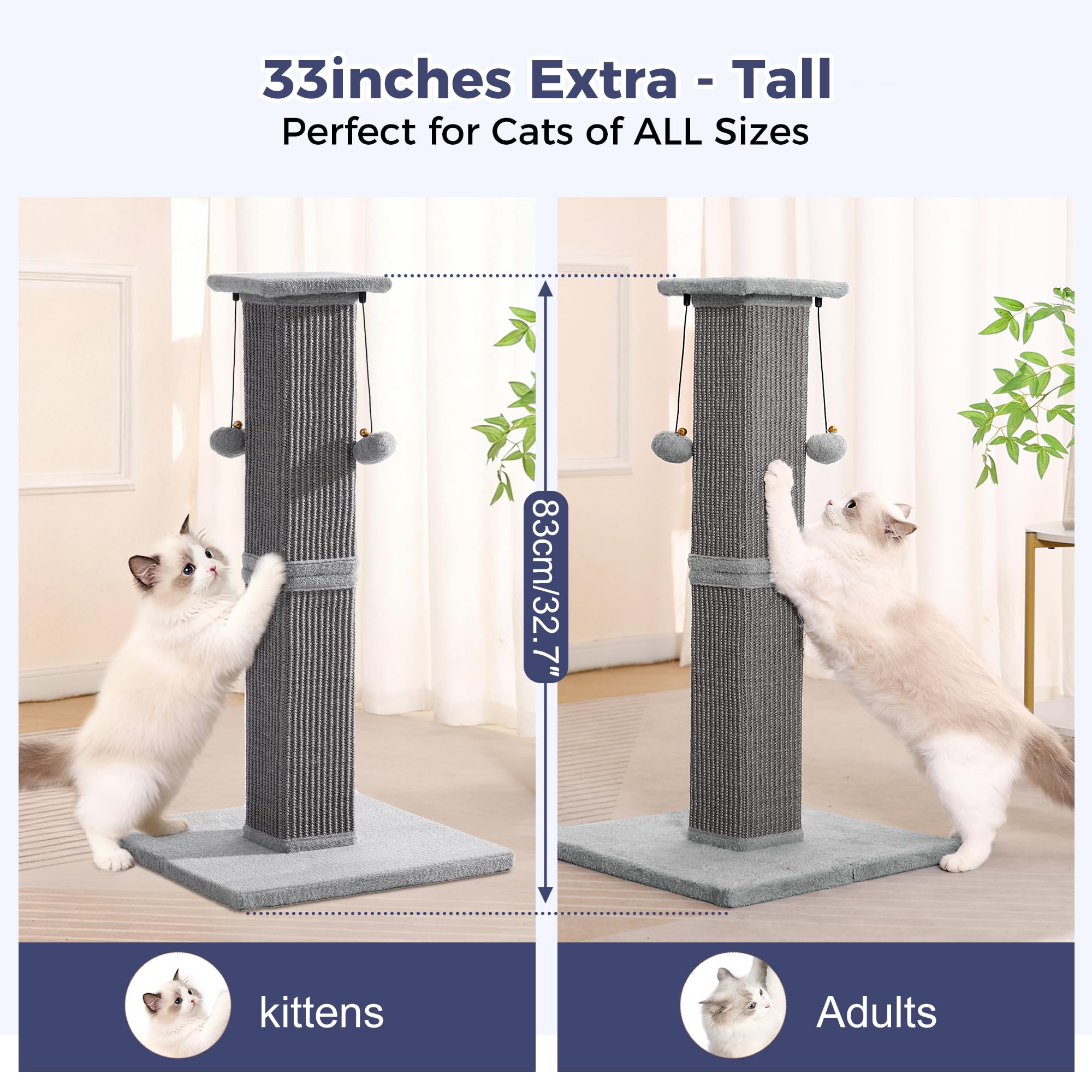 Go to store page for "Cat Scratching Post". - image 5