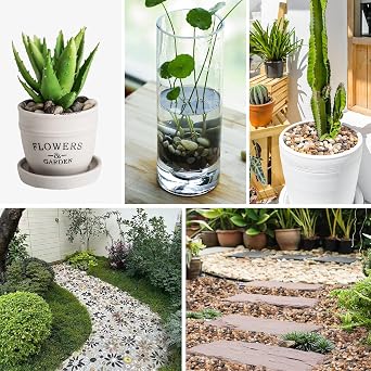 Pebbles Polished Gravel Natural River Rocks Ornamental Pebbles Garden Landscaping Stones Small Decorative Rocks for Fountain Aquarium Plants Vases Landscaping (Mixed Color, 1 LB)