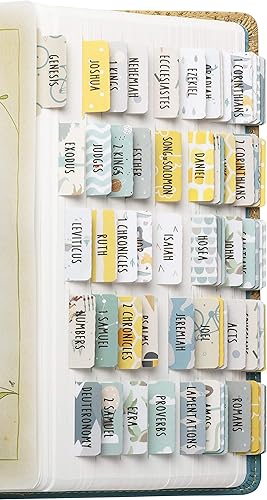 DiverseBee Pestañas laminadas de la Biblia (letra grande, fácil de leer), pestañas de libro de diario de la Biblia, regalo cristiano, 66 pestañas de
