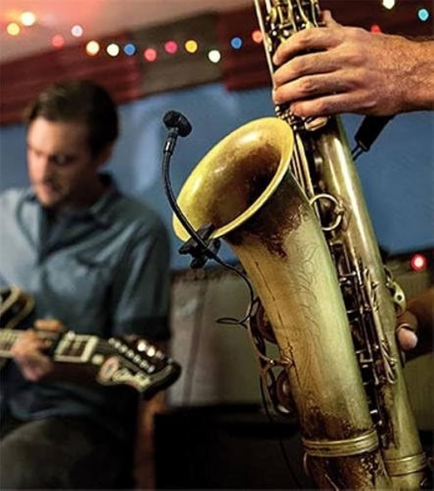 Amazon.com: Shure PGA98H Condenser Microphone - with Cardioid Pick