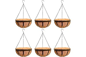 Enliven Your Outdoor Oasis with the LaLaGreen Hanging Planter Baskets