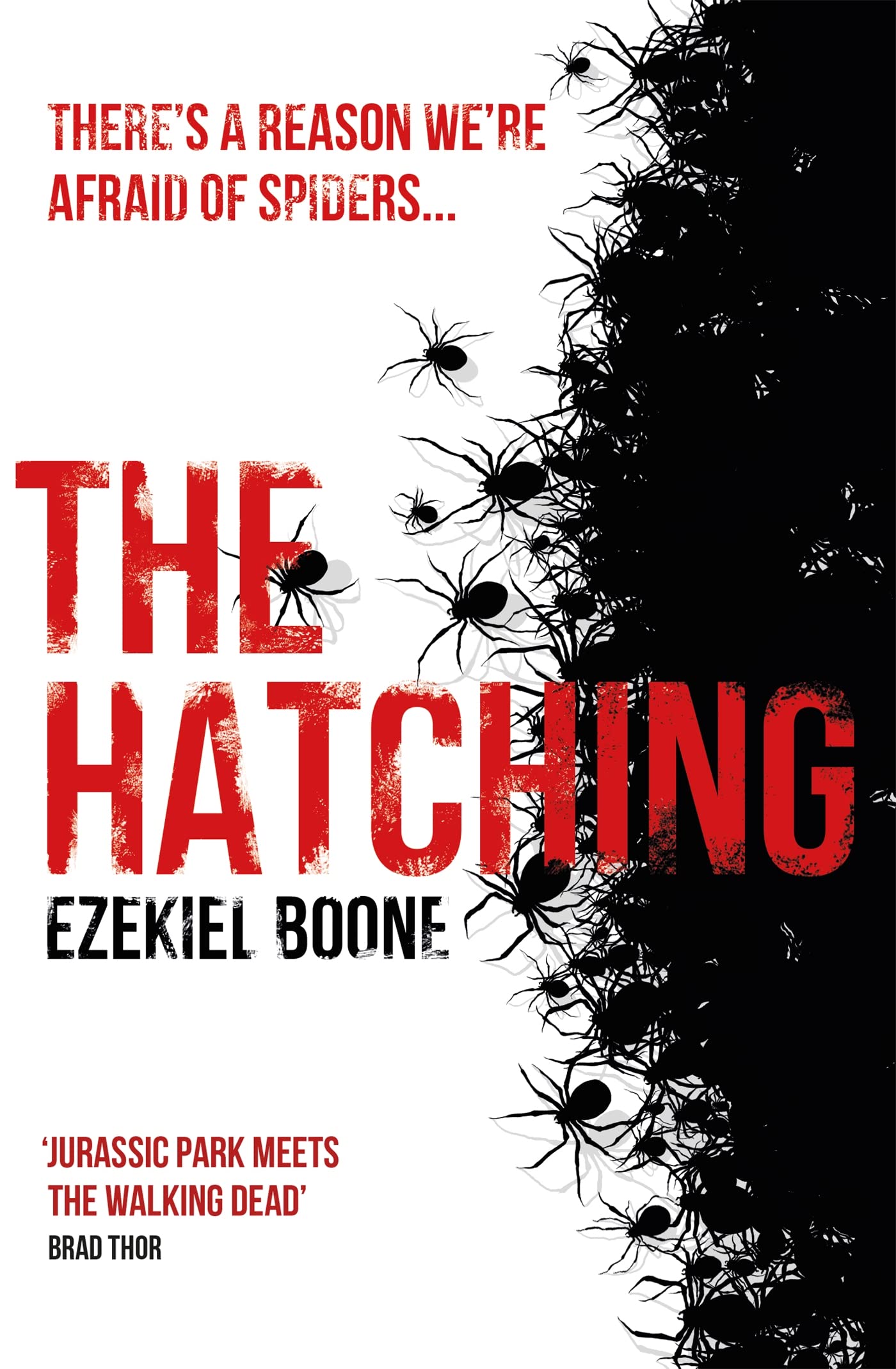 The Hatching By Ezekiel Boone. 9781473215184