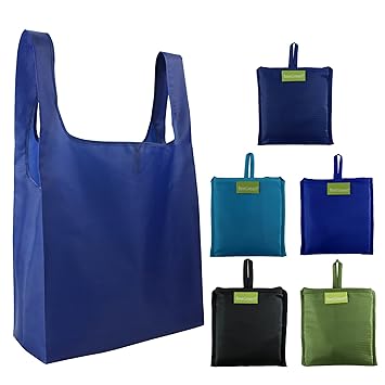 Tote bag folds into pouch Clearance