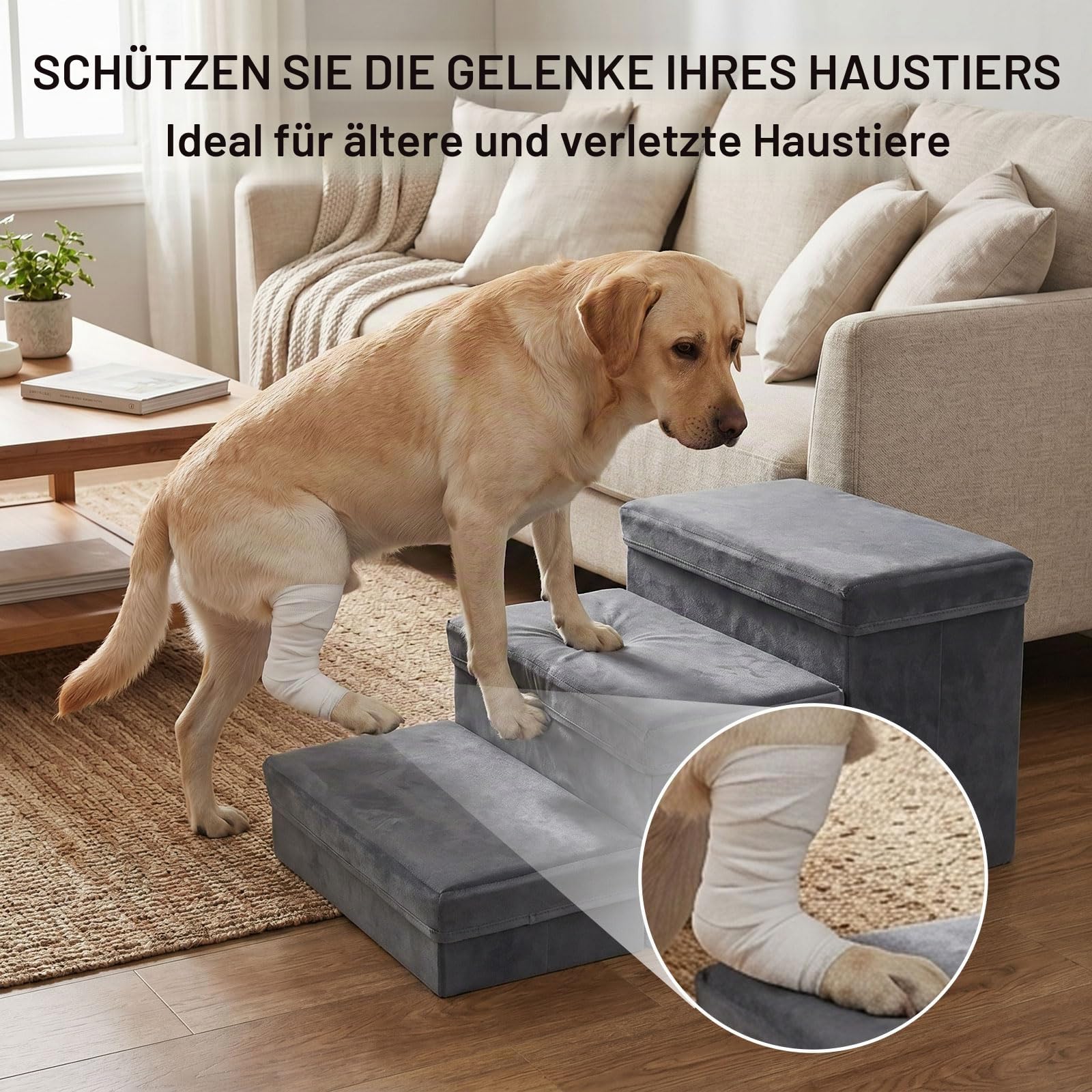 Hundetreppe mit Stauraum 3 Stufen Faltbar 75x40x30cm - Rutschfeste Haustiertreppe für Bett und Sofa - Extra Breite Hunderampe für Kleine und Große Hunde Katzen - Stabile Dog Stairs Dunkelgrau (Grau-3)