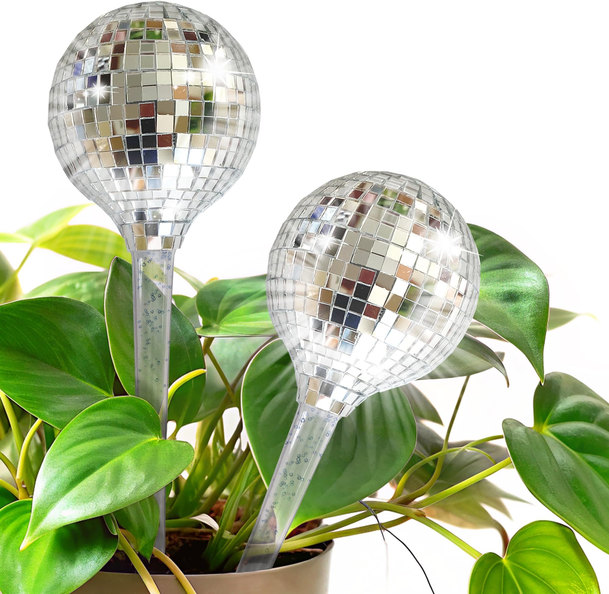 Aqua Disco Globe Self Watering Spike for Plants- 2 Pack