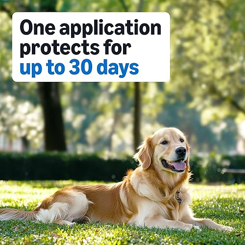 Miniatura 4 de Marca Amazon – Solimo tratamiento tópico de pulgas y garrapatas para perros (pequeño, mediano, grande, extra grande)