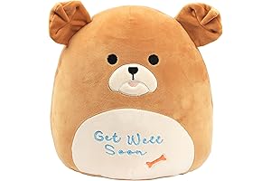 Easfan Get Well Soon Puppy Plush Pillow for Dog Lovers