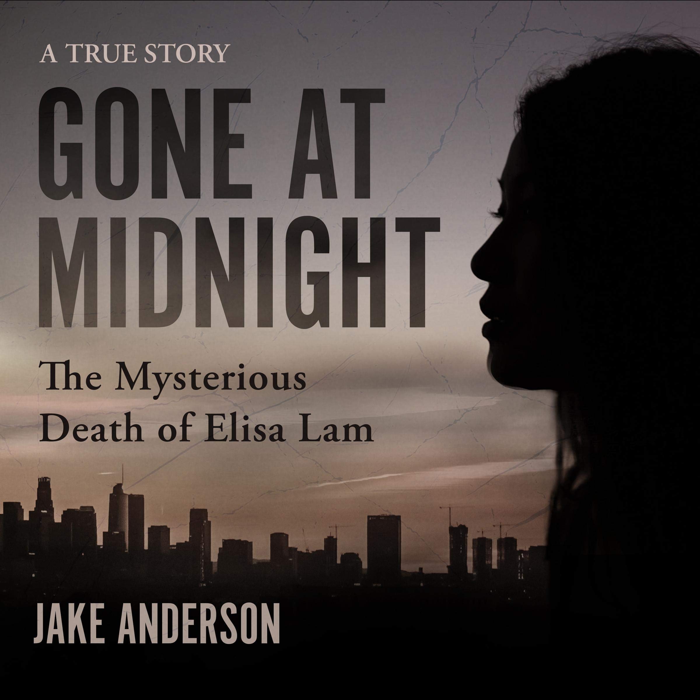 Cover art for Gone at Midnight