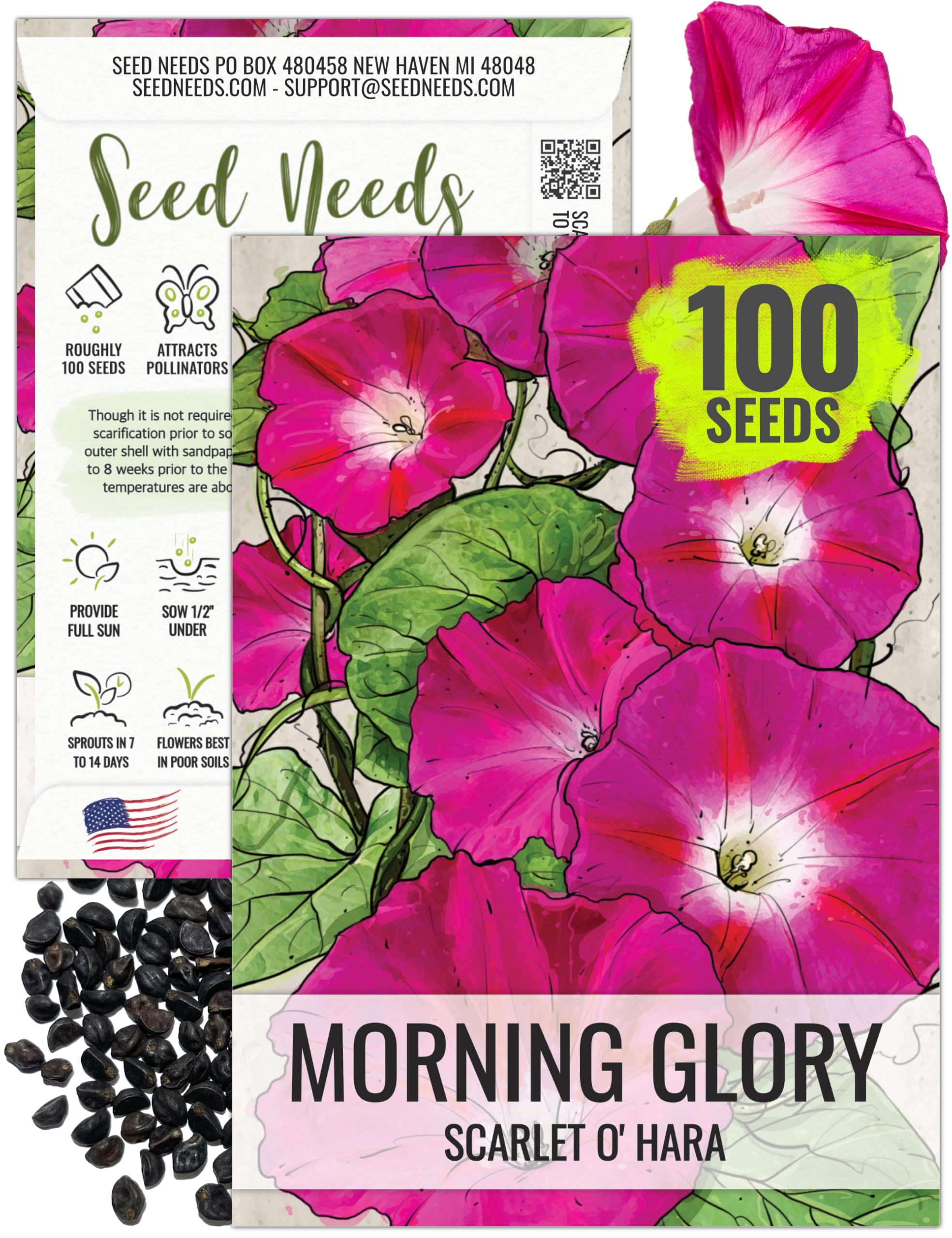 mixed wildflower seeds Wildflowers