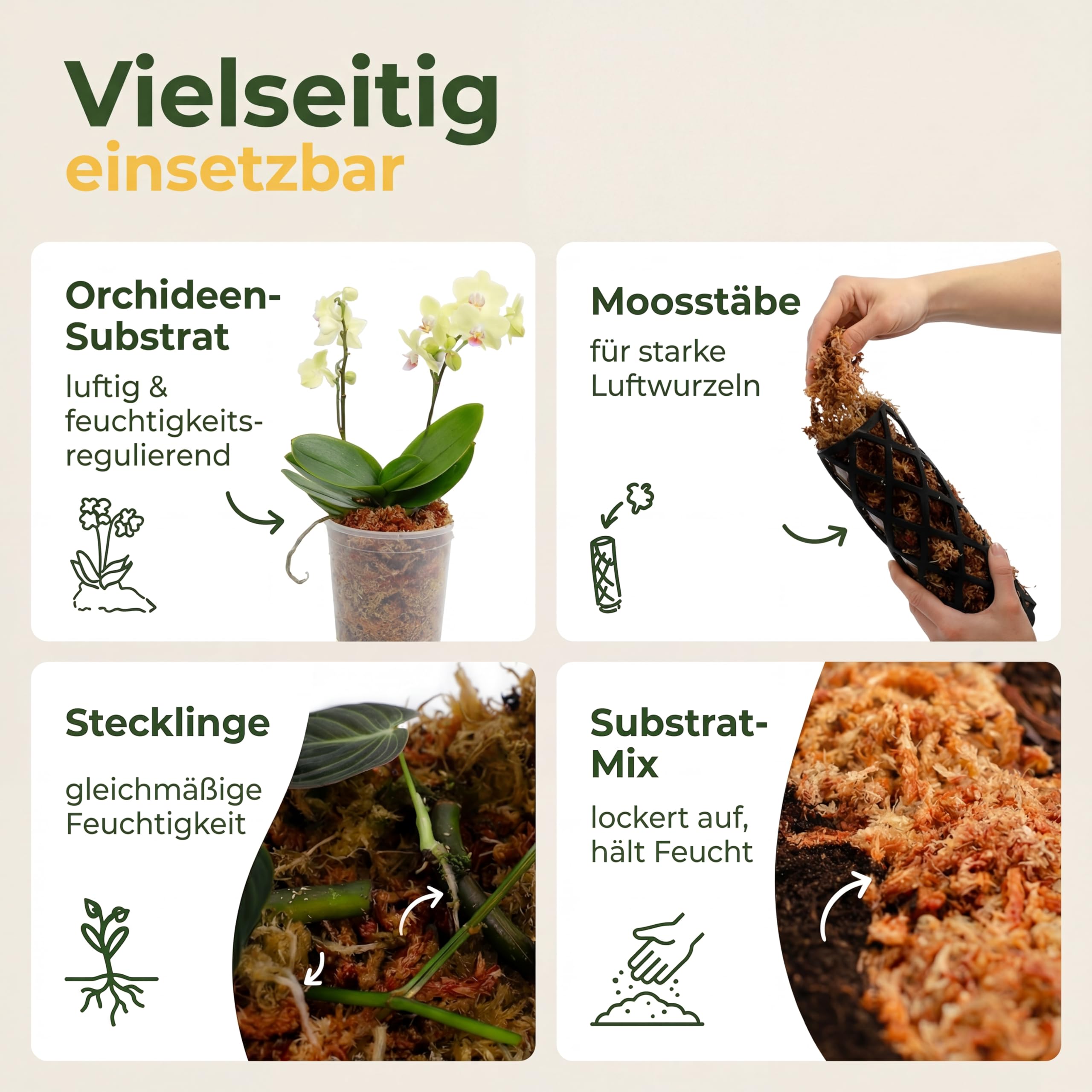 Sphagnum - Musgo para plantas de interior y enredaderas (1000 g)