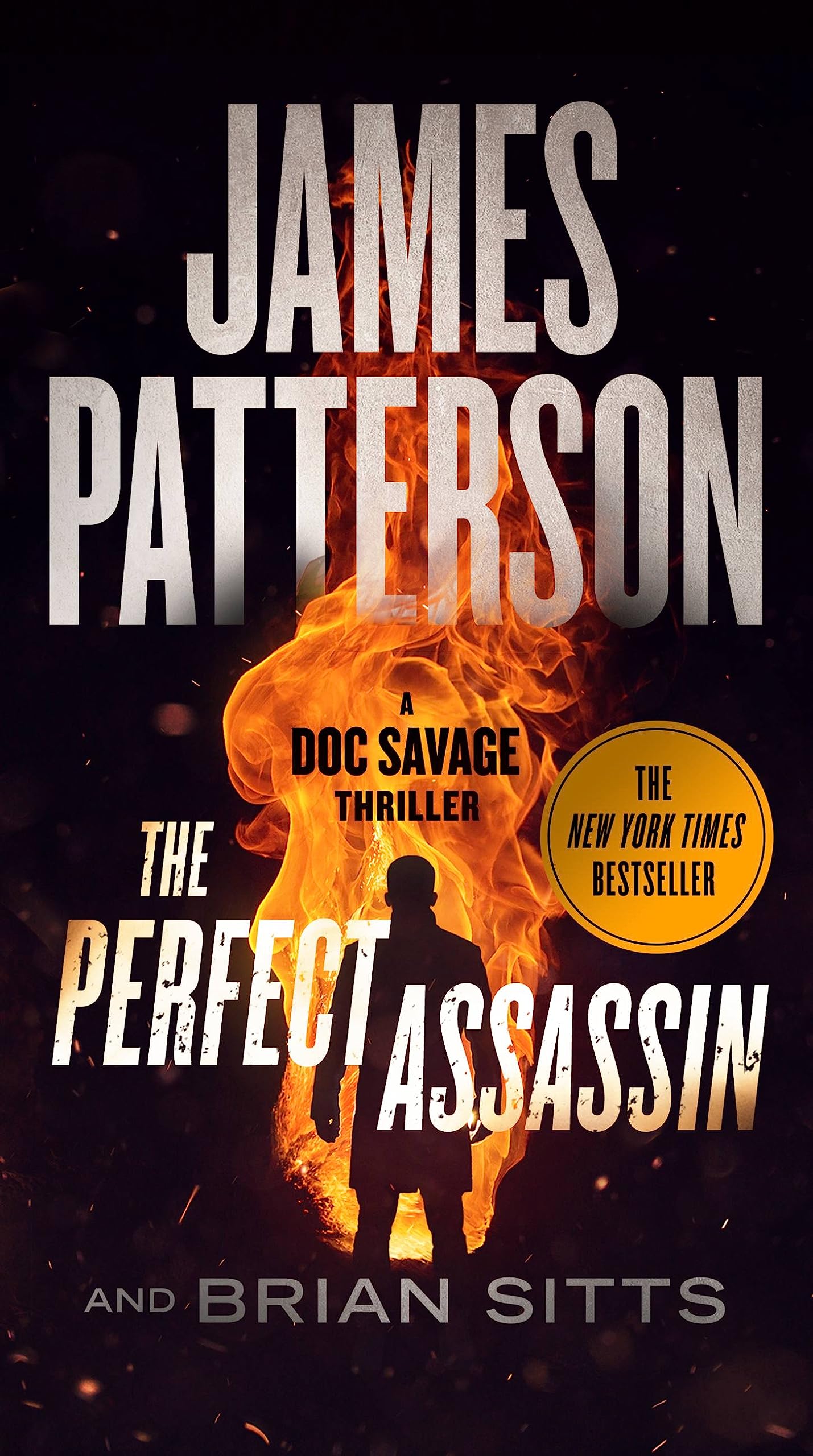 Book cover for The Perfect Assassin