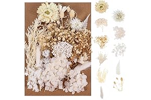 All Natural Pressed White Edible Flowers for Baking
