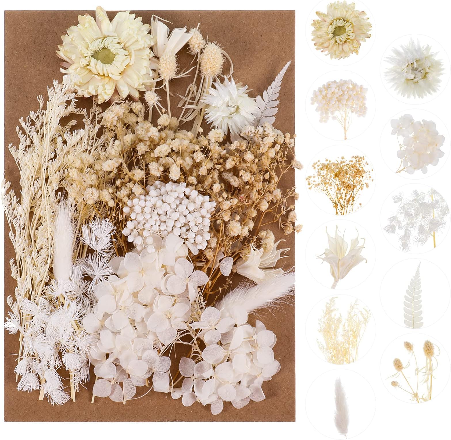 QINREN Real Dried Flowers Leaves, Natural Dried Flowers Mixed Artificial Everlasting Flowers for DIY Candle Resin Jewelry Nail Pendant Crafts Making Art Floral Decorations