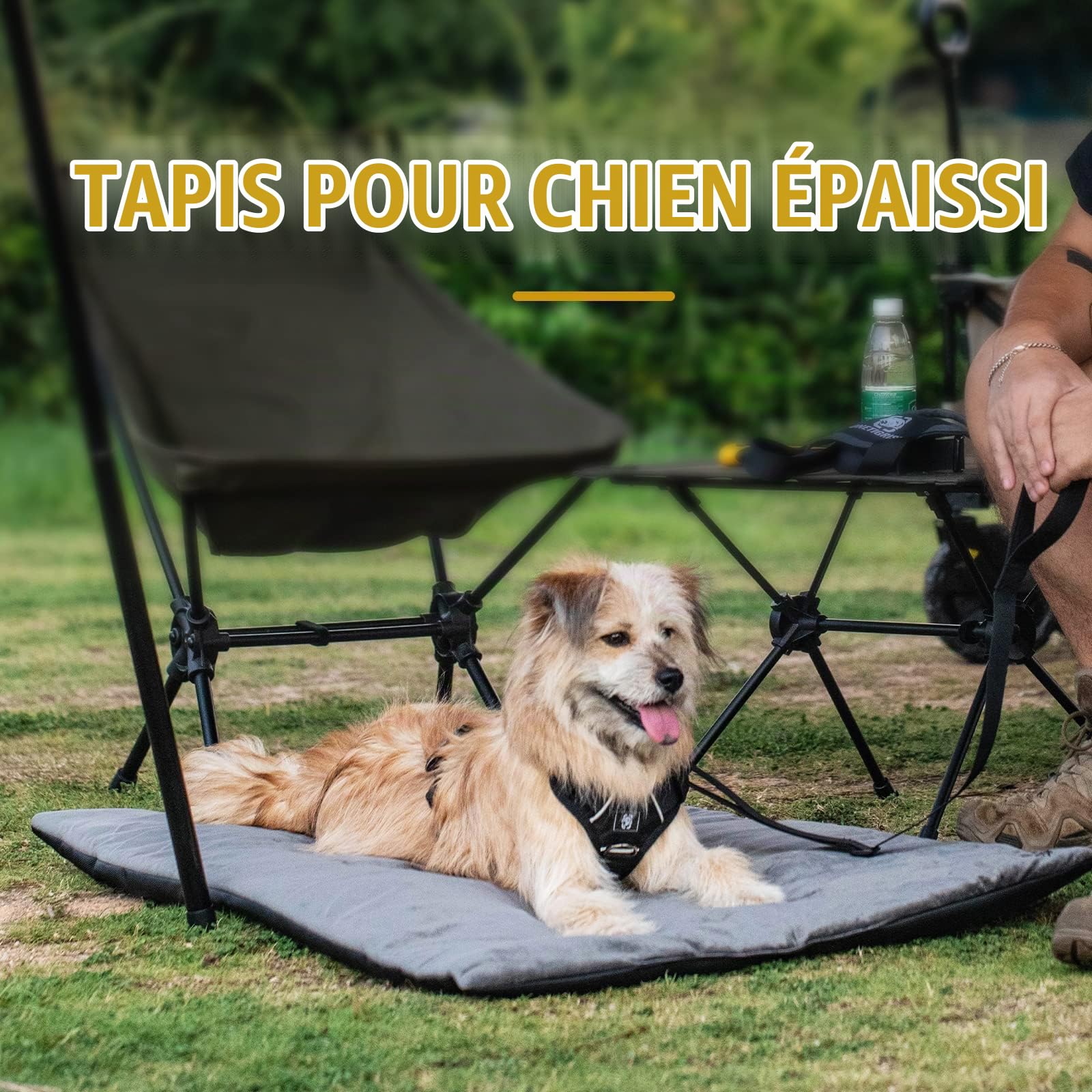 OneTigris Couverture pour Chien 110 cm x 68 cm - en Velours épais - Chauffante - pour Chiens de Grande et Moyenne Taille - Voyage - Camping - Extérieur - Réversible et Portable - Lavage à la Main