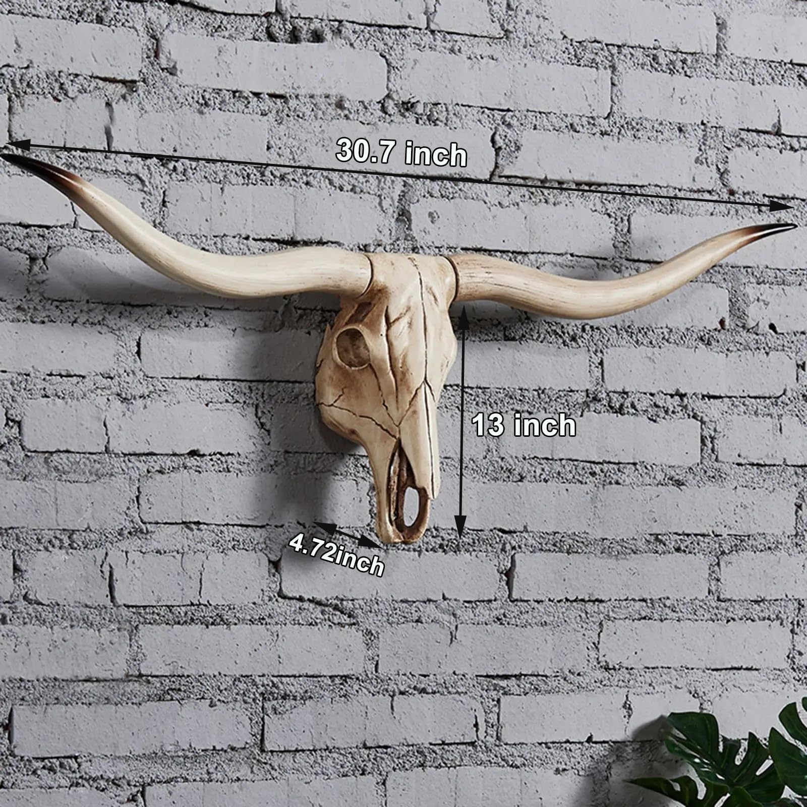 Amazon.co.jp: ロングホーン 牛の頭蓋骨 - ヤギ ロングホーン 壁装飾  