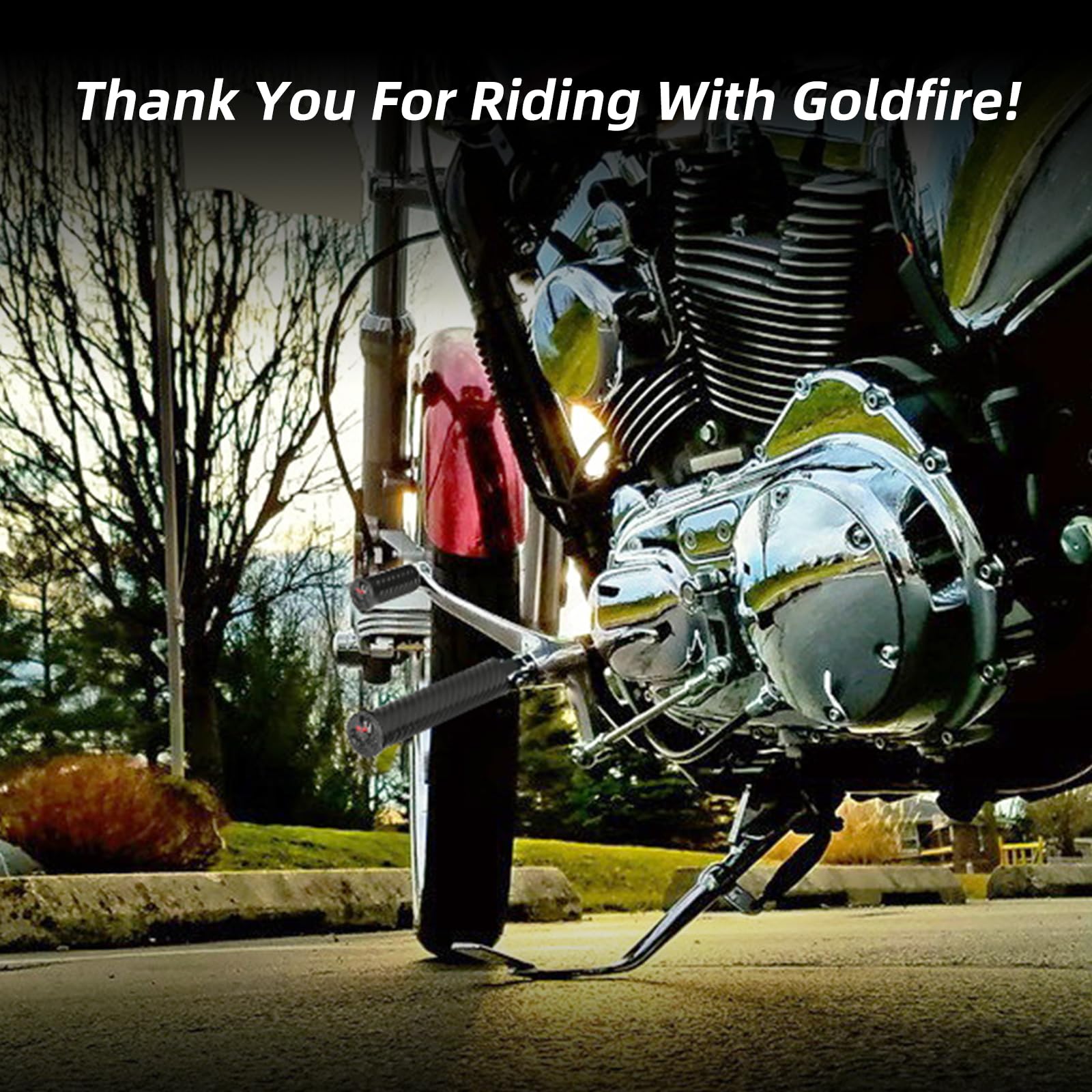 Goldfire Estriberas para palanca de cambios de motocicleta estilo calavera 3D + reposapiés delgado de montaje macho compatible con Harley Sportster Dyna Touring Peg Mount Pedal reposapiés (negro)