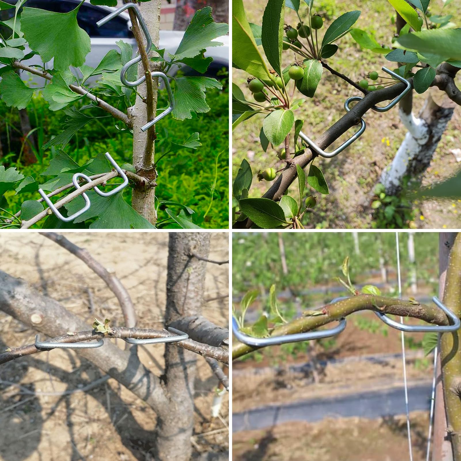 30 Stück Astspreizer Für Obstbäume - M-förmige Zweigspreizer Für Garten