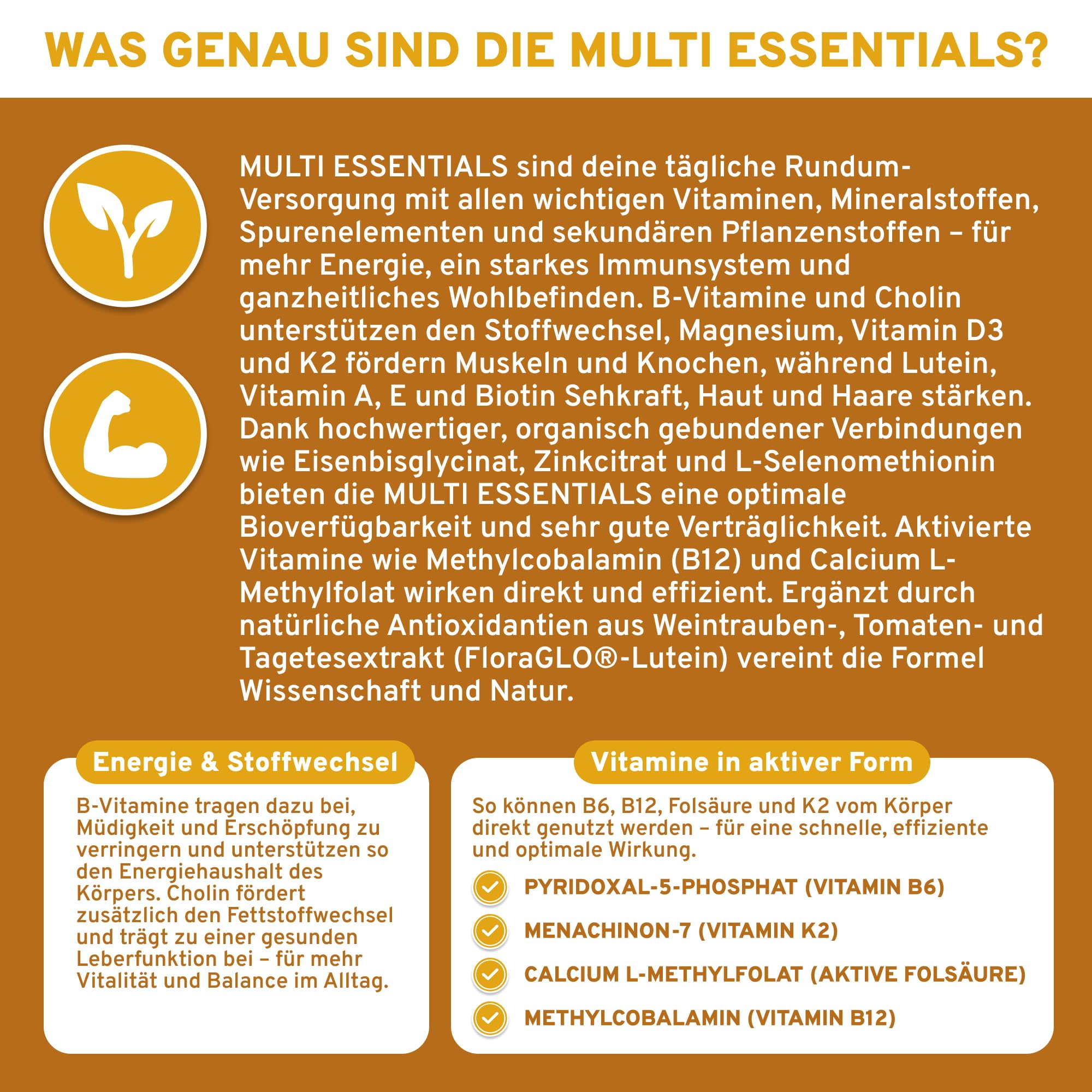 QIDOSHA® Multi Essentials – Deine tägliche Rundum-Versorgung mit allen relevanten Vitaminen, Mineralstoffen, Spurenelementen & sekundären Pflanzenstoffen, 120 Kapseln im Apothekerglas (Packung mit 2)
