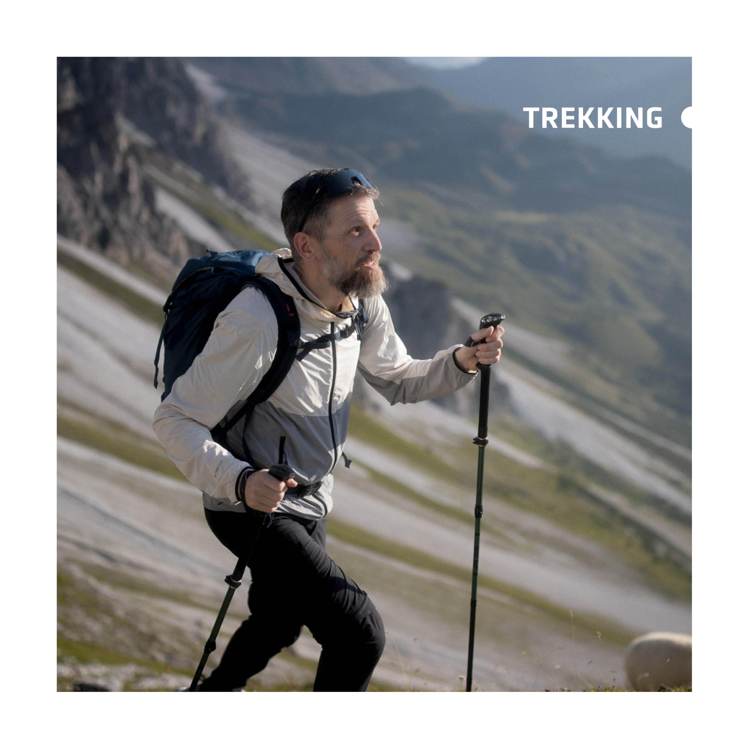 LEKI Wanderstöcke Manaslu Pro Black-Dark Anthracite, 100-135 cm