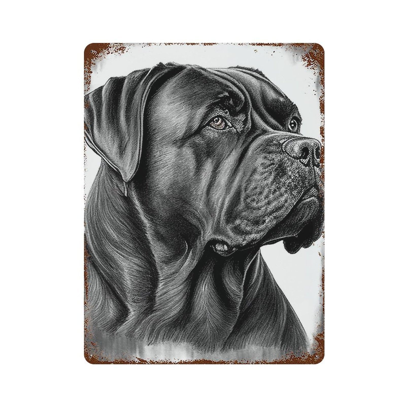Cane Corso Drawing 15.7"x11.8" Vintage Metal Tin Sign, Retro Wall Decor for Basement, Hobby Room And Garage Decor