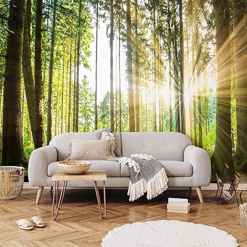 Miniatura 2 de artgeist Mural de pared prémium Bosque de 118 x 83 pulgadas, papel tapiz fotográfico no tejido, impresión artística, mural de pared de forro polar,