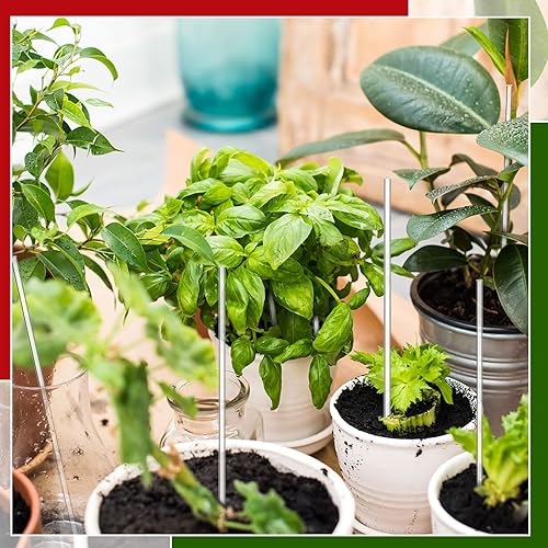 Vista 48 de Zopeal 200 palitos acrílicos para tartas, palitos de dulces para bodas, Halloween, Navidad, dulces, pasteles, chocolate, galletas, postres, hechos a