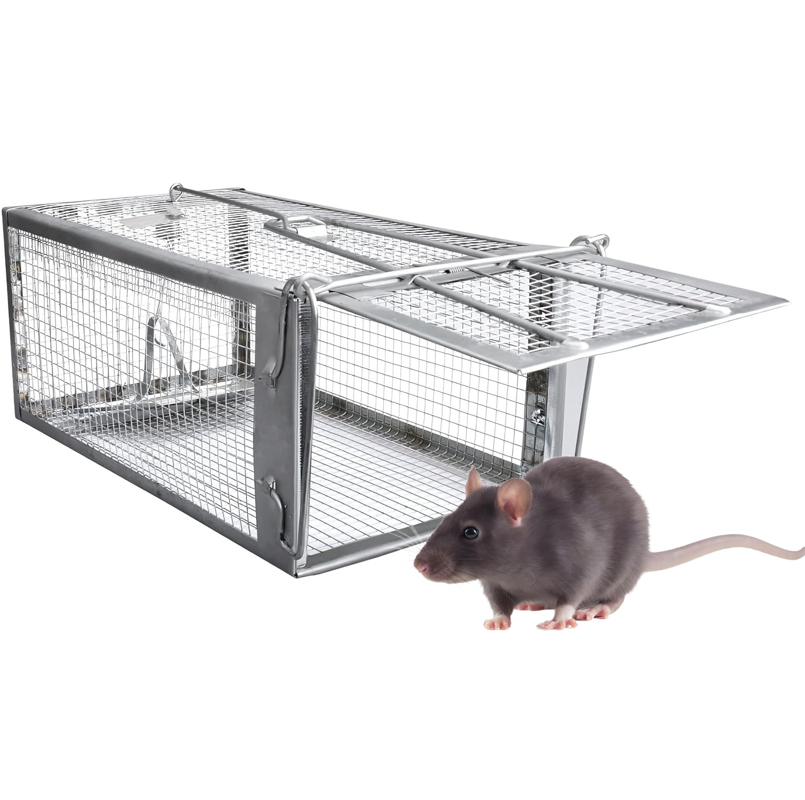 Humane Rat Trap, Live Mouse Trap Cage for Indoor & Outdoor, Upgraded Sensitive Effective Rodent Trap Cage, No Kill Mouse Trap Catch and Release, Suitable for Mice Mouse - 31cm x 17cm x 13.5cm