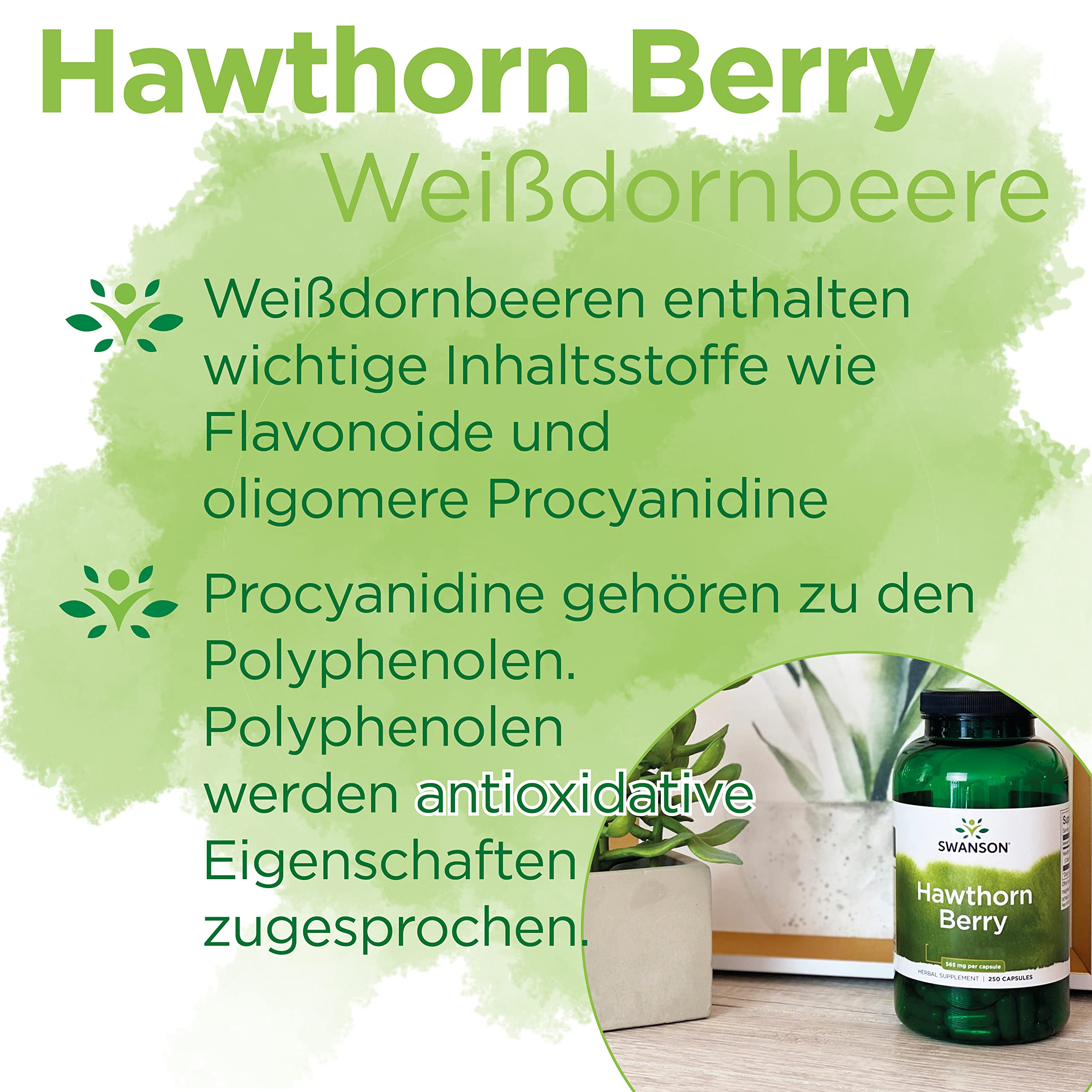 Swanson, Hawthorn Berry, 250 glutenfreie Kapseln, 565mg Weißdornbeeren je Dosis, Sojafrei, GMO frei, Geschmacksneutral
