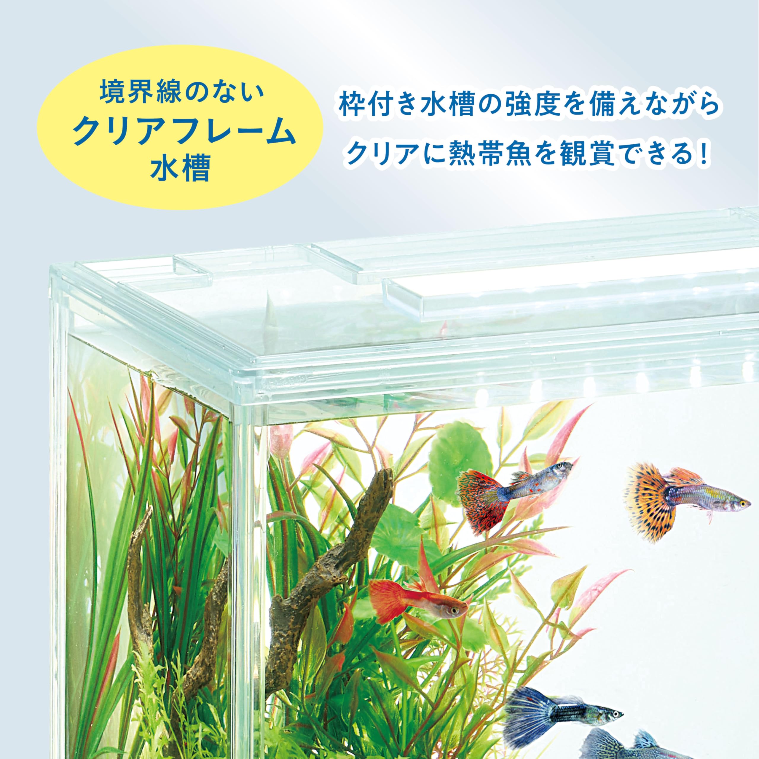 Amazon | ジェックス アクアクリアセット300 幅30cm水槽 熱帯魚