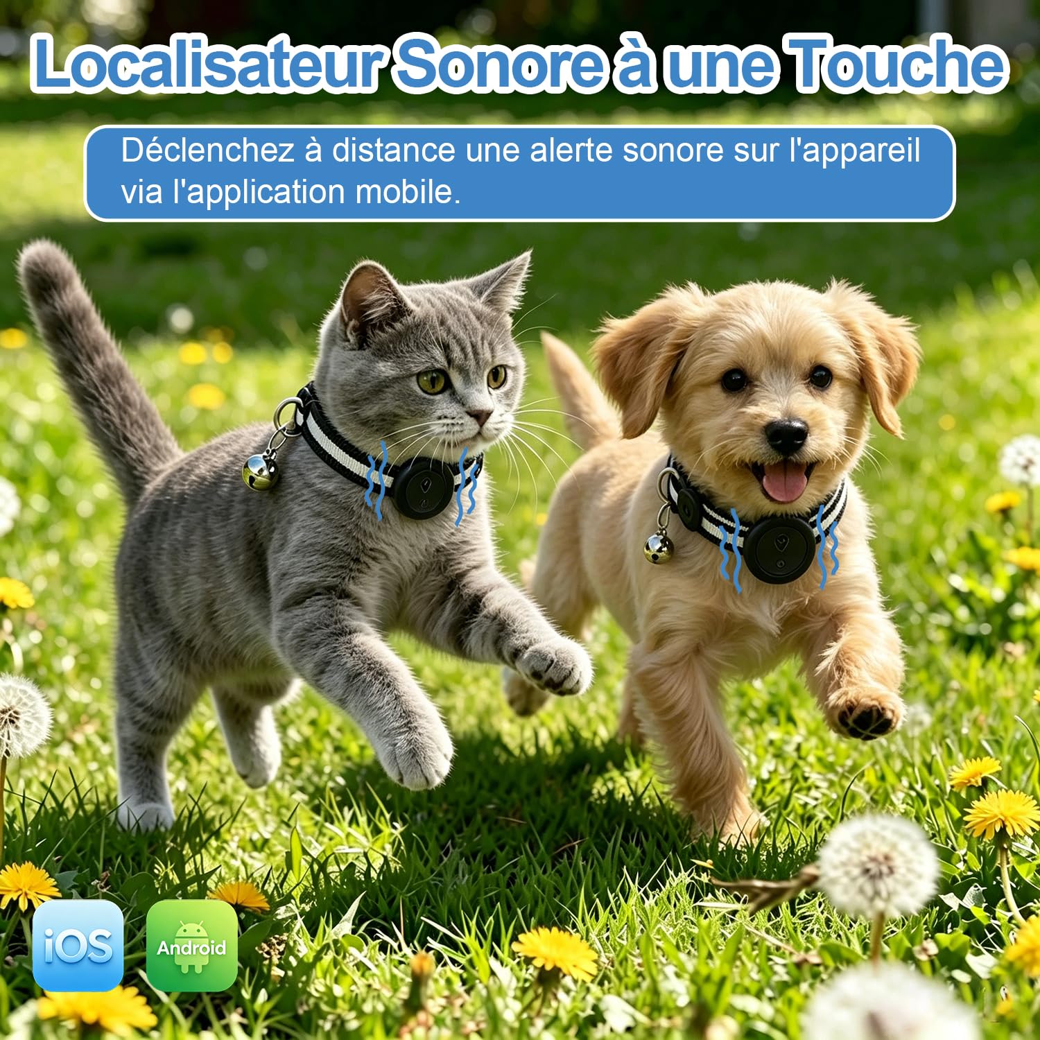Collier GPS Chat 2-en-1,Collier GPS pour Chien Réfléchissant,Suivi en Temps Réel Et Fonctions Anti-Perte,sans Abonnement,iOS/Android,Collier Réglable avec Grelot,Adapté Aux Petits Chiens/Chats-Noir