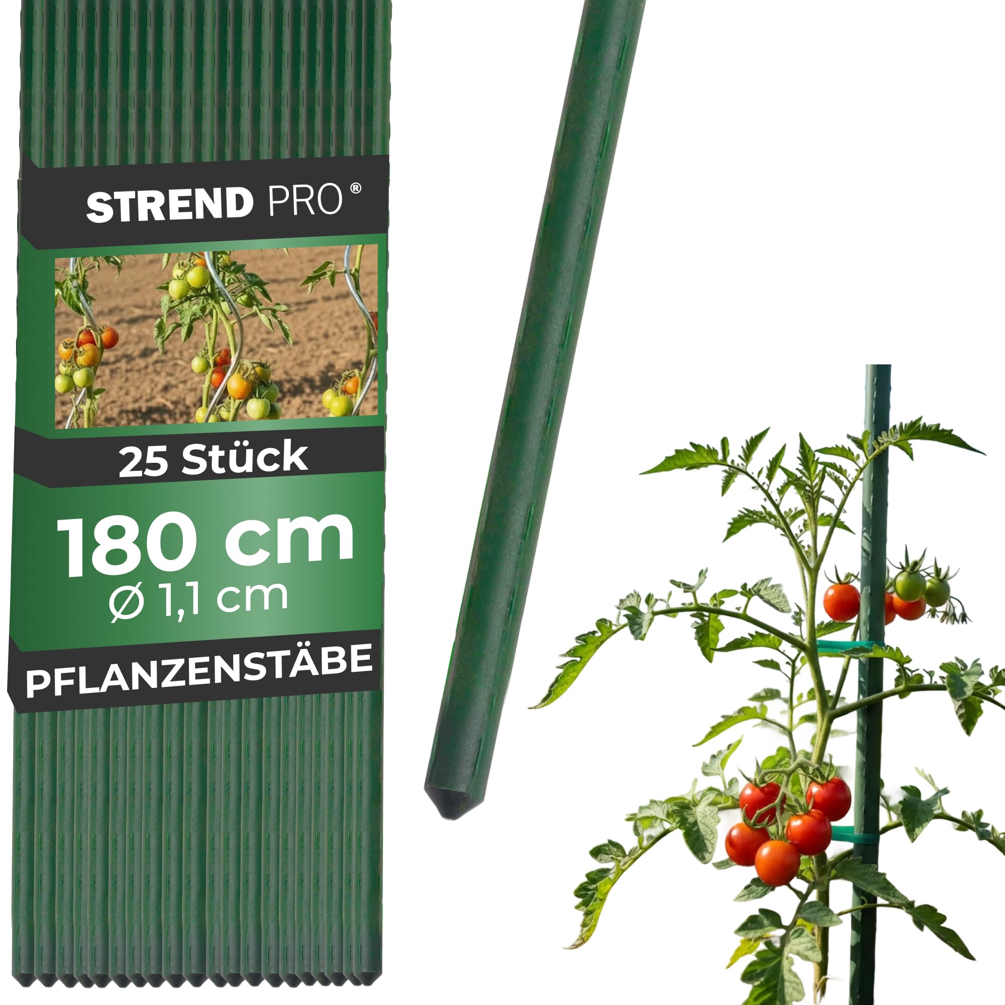 STREND PRO Pflanzstäbe 180 cm - 25 STK. Set | Ø 11 mm Stahl + Kunststoff | Rankstab Grün | Tomaten & Bohnenstangen | Pflanzenstütze groß | Metalle Rankhilfe | Stützstäbe für Pflanzen | Pflanzstütze