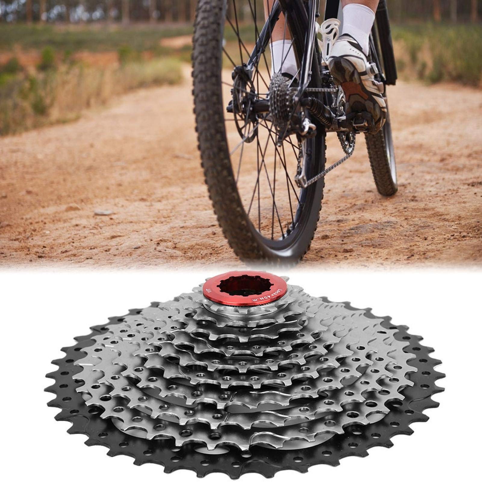 Bici 10 velocità Ruota Libera, Cassetta pignone Ruota Libera 10 velocità 11-42T Mountain Race Bike Accessorio di Ricambio