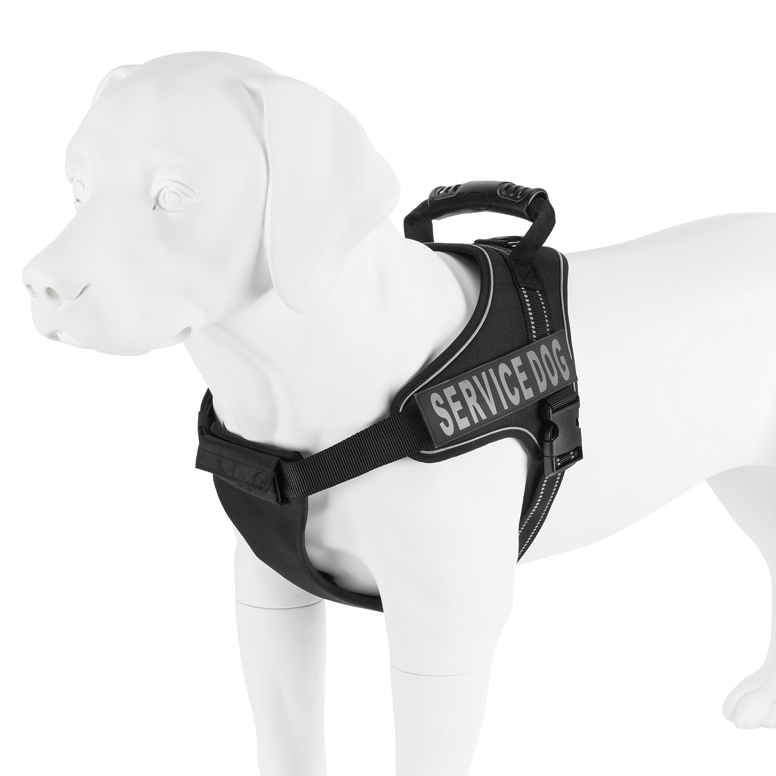 How Long Do You Keep A Service Dog